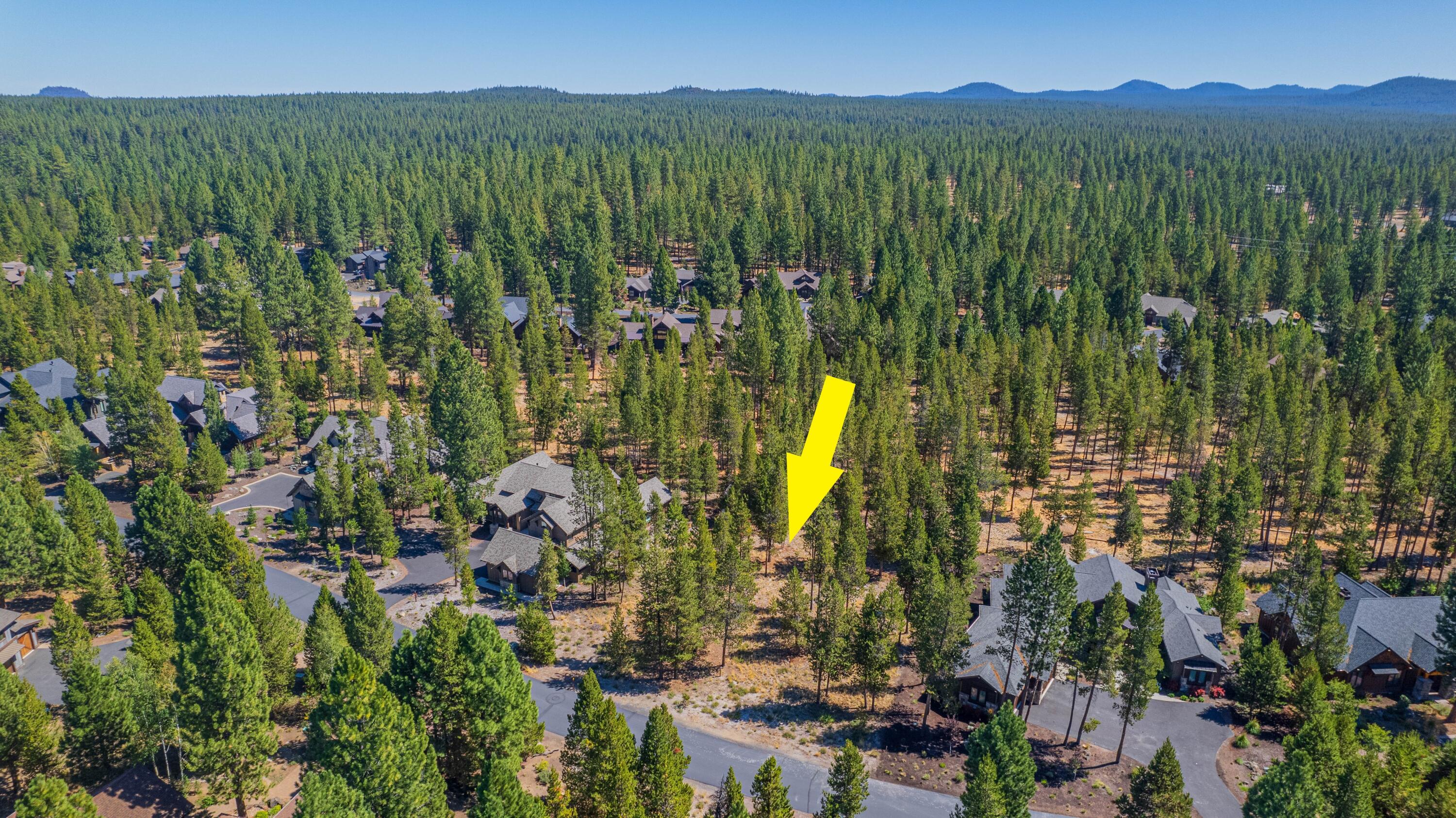 56480 SUNSTONE Loop Unit: 165
