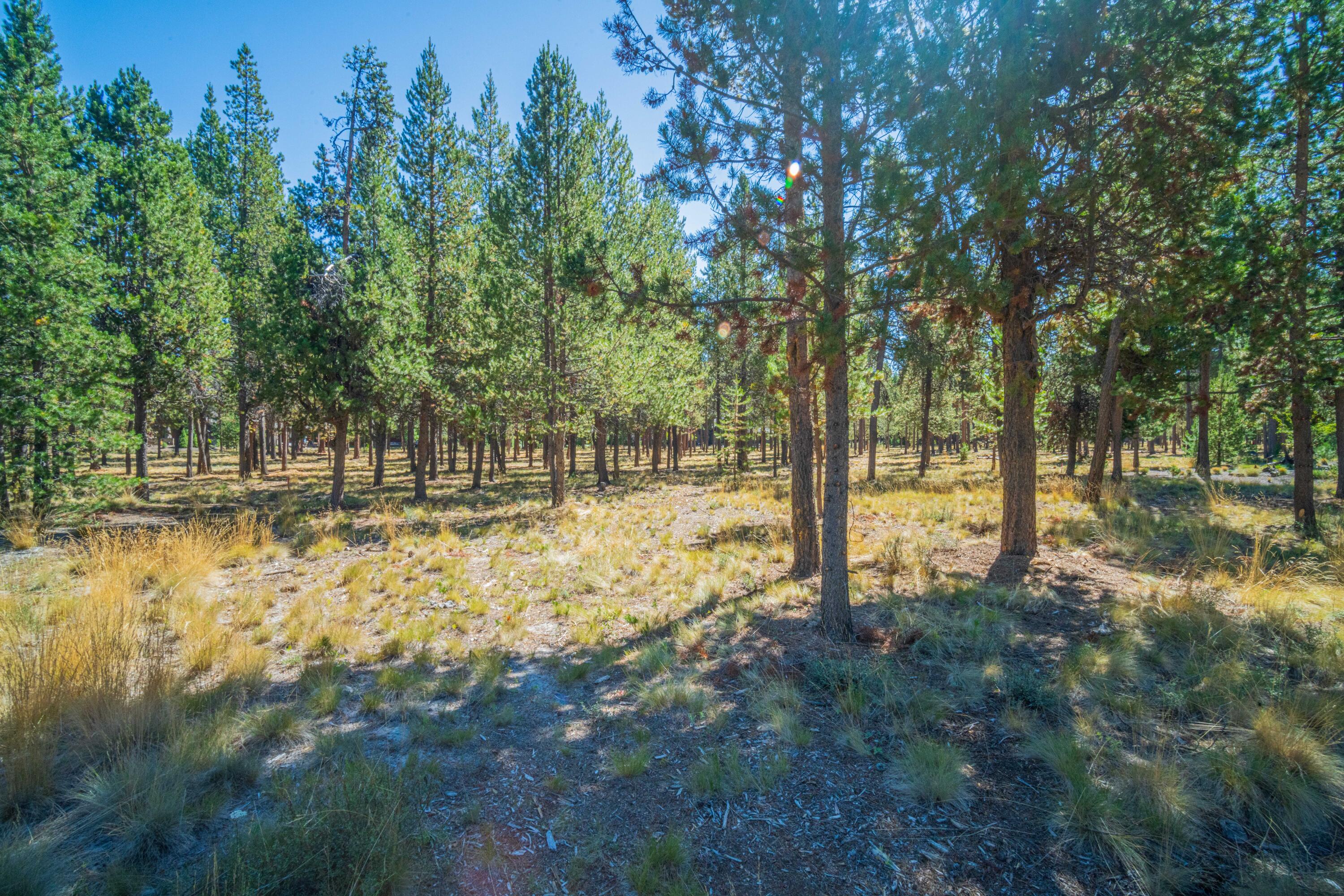 56480 SUNSTONE Loop Unit: 165