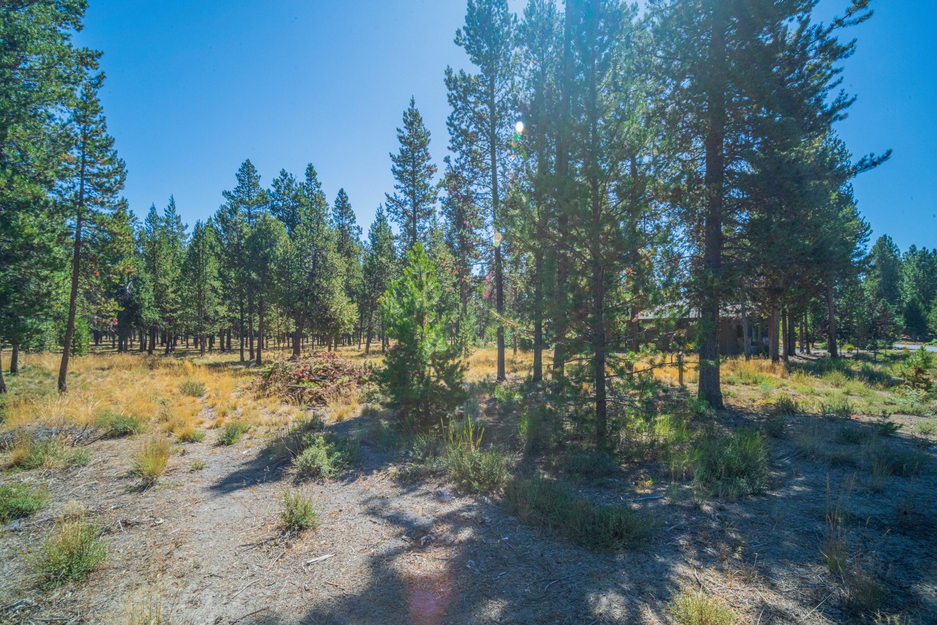 56480 SUNSTONE Loop Unit: 165