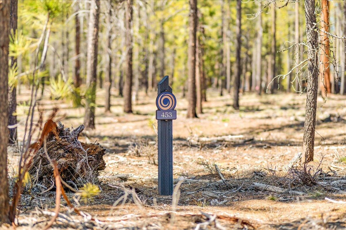 17749 Everwild Circle Unit: 453