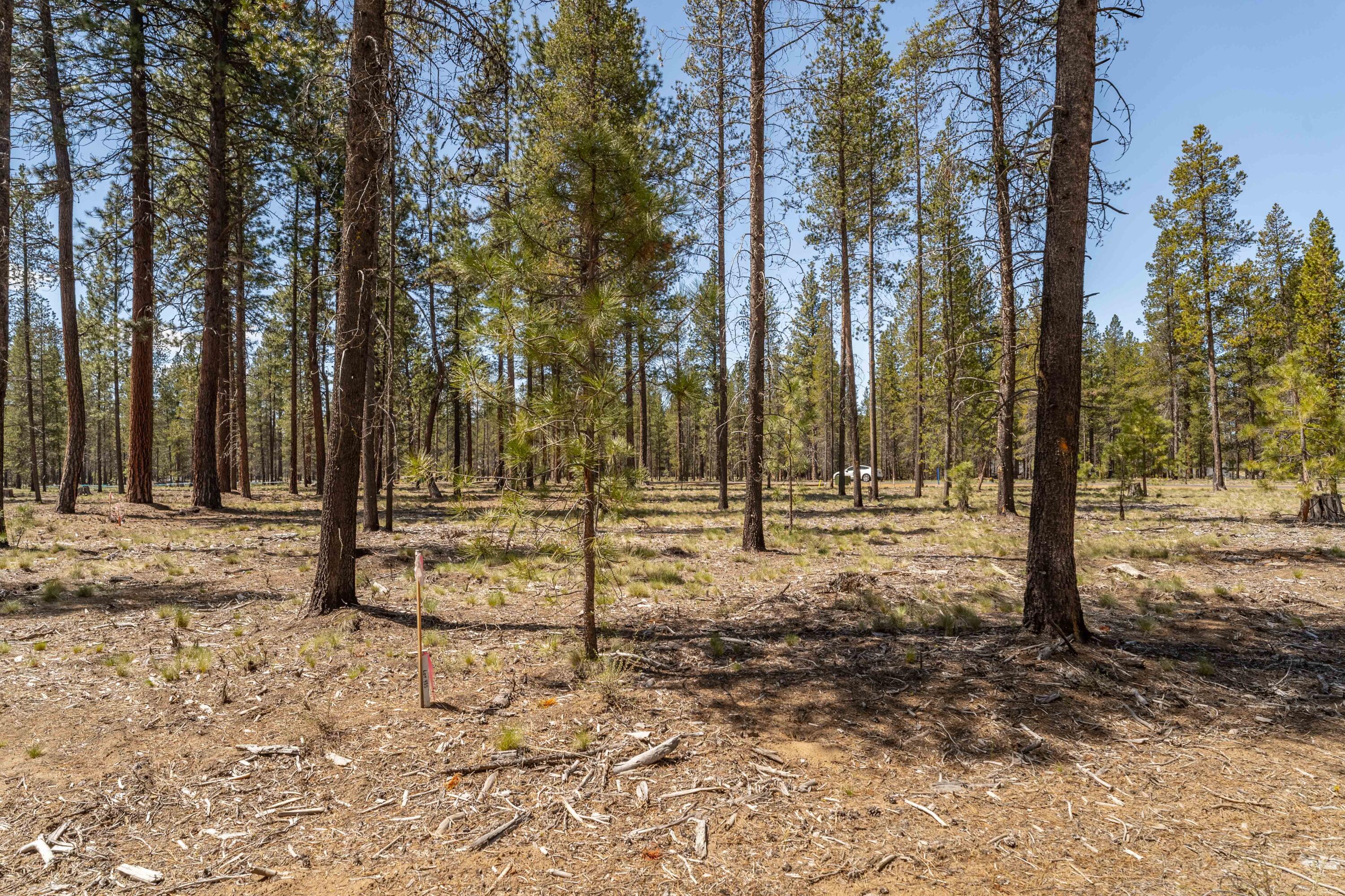 Preservation Loop Unit: 486