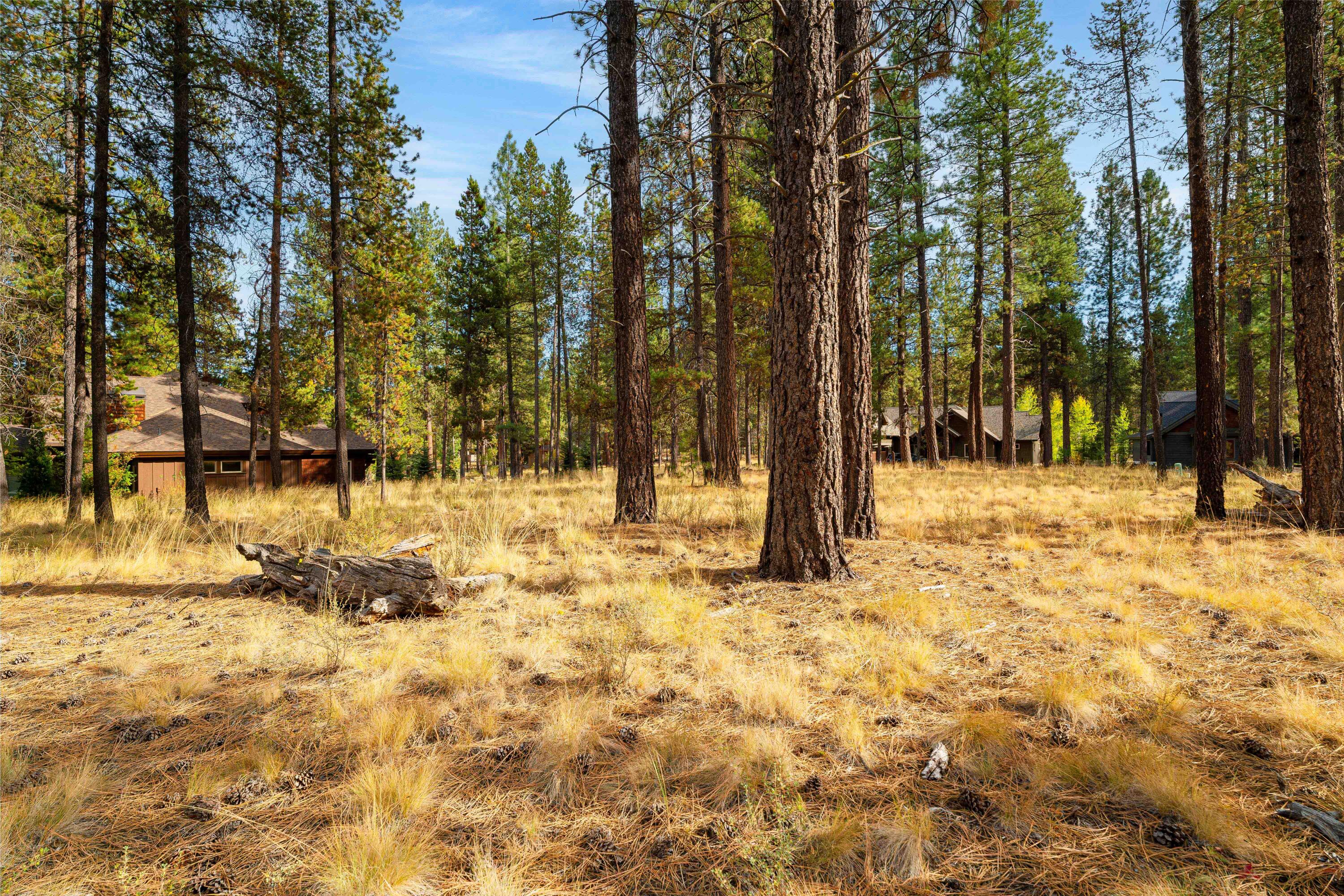 56300 Trailmere Circle Unit: 246