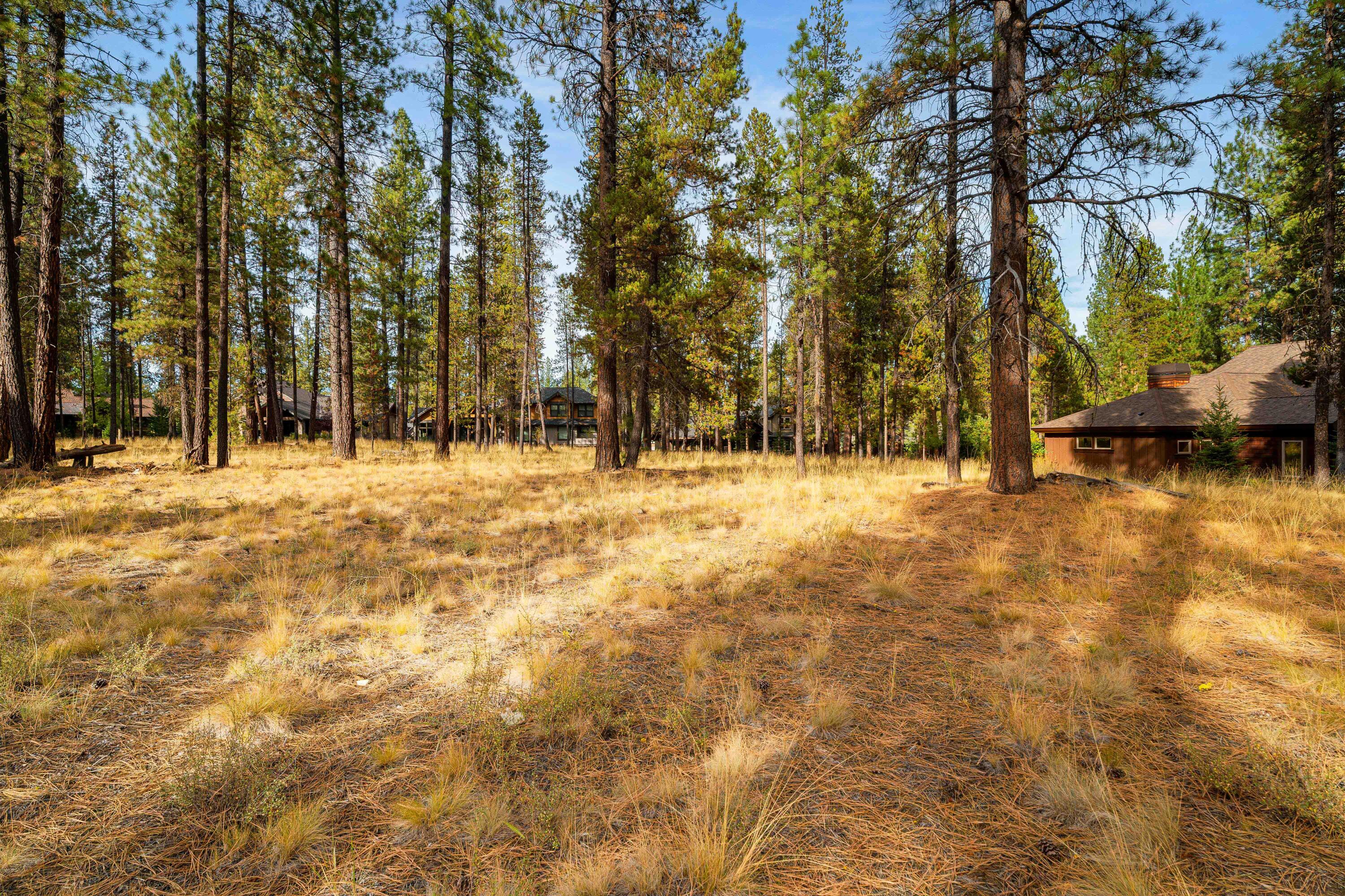 56300 Trailmere Circle Unit: 246