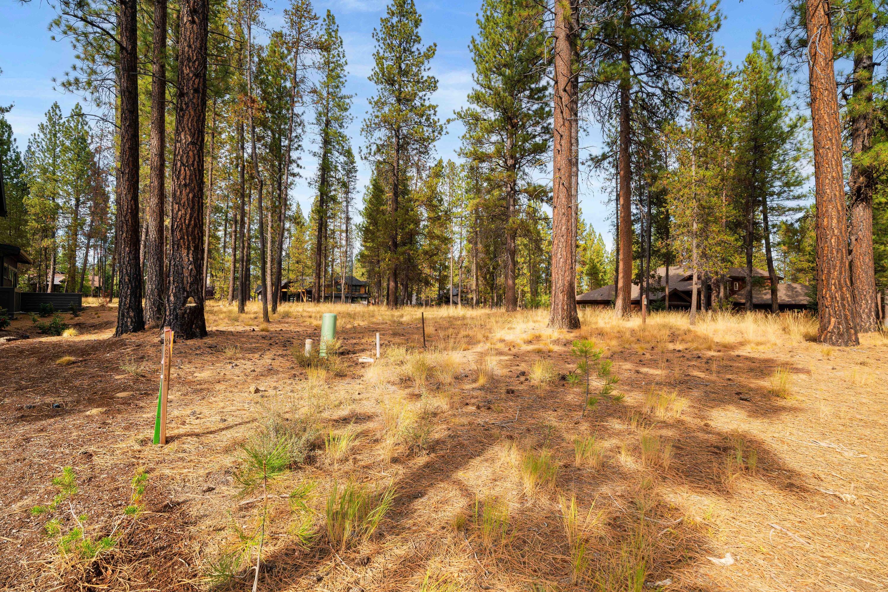 56300 Trailmere Circle Unit: 246