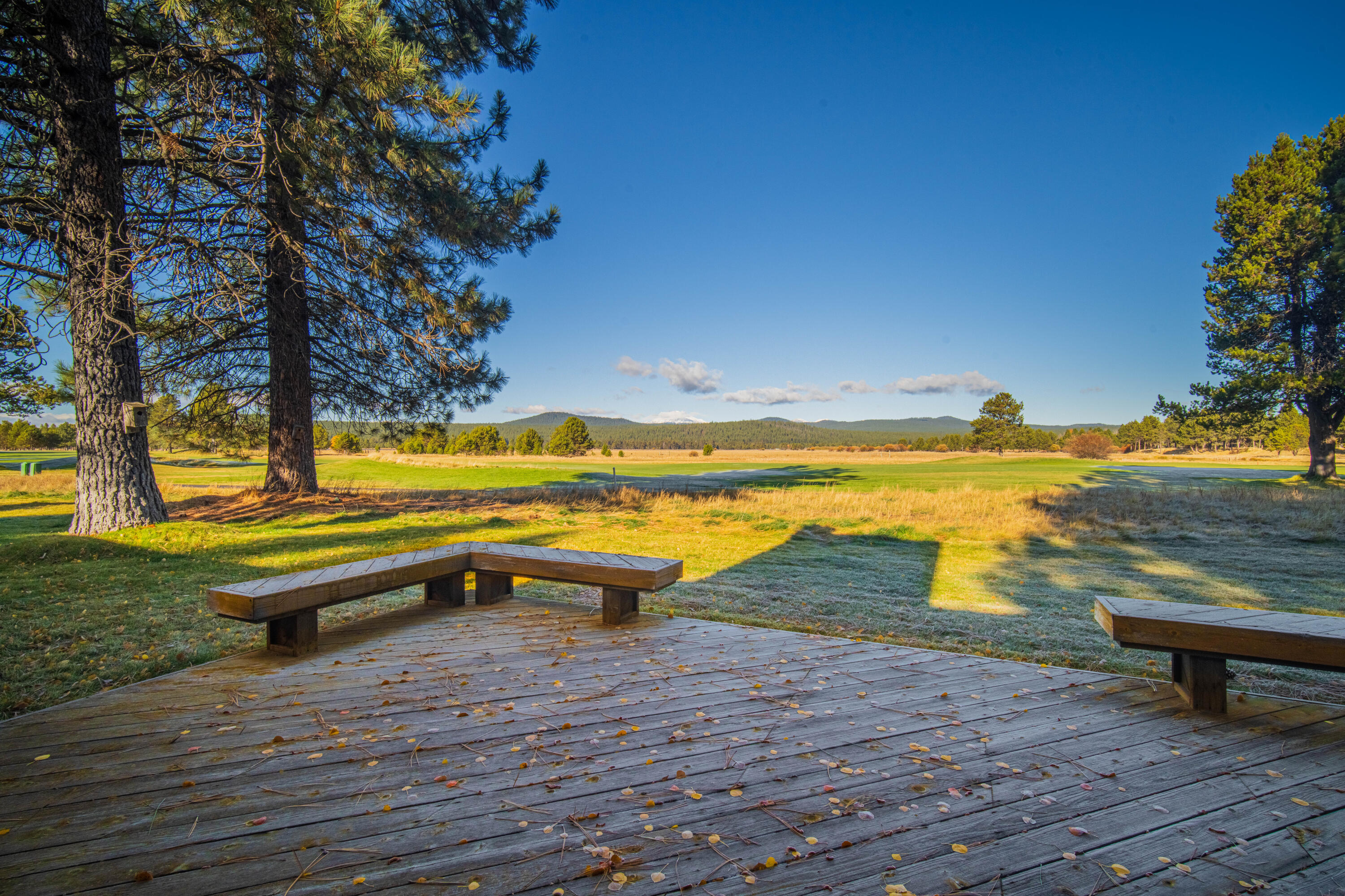 57239 Island Road Unit: 39