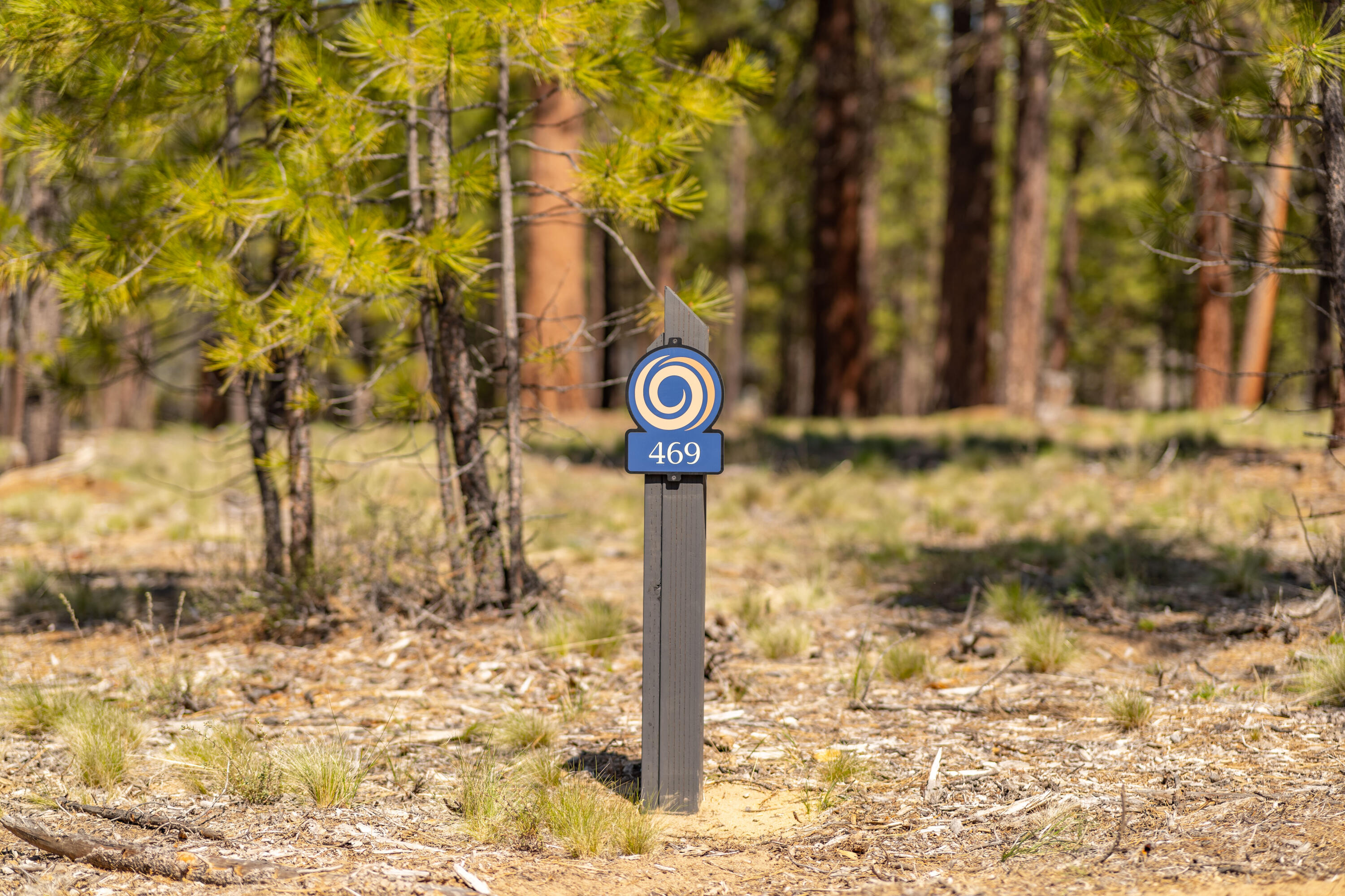 Cottontail Loop Unit: 469