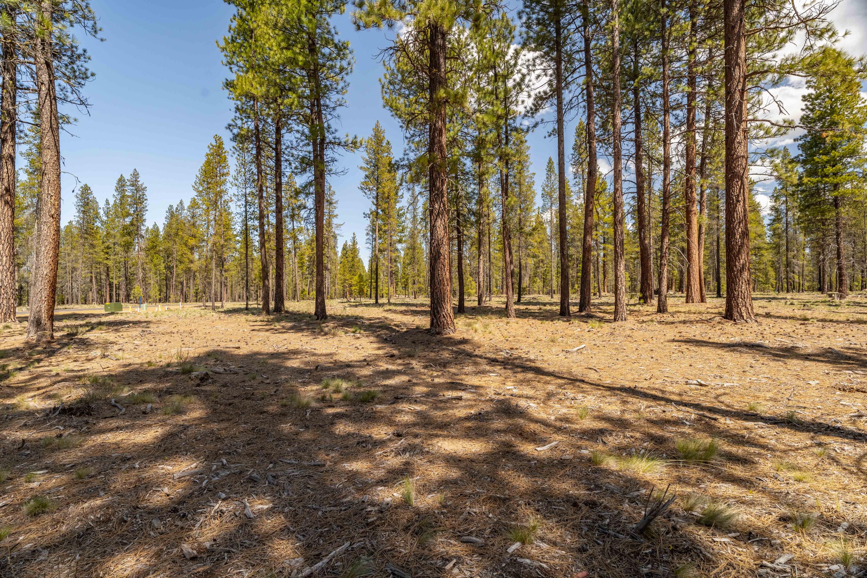 17788 Preservation Lp Unit: 487