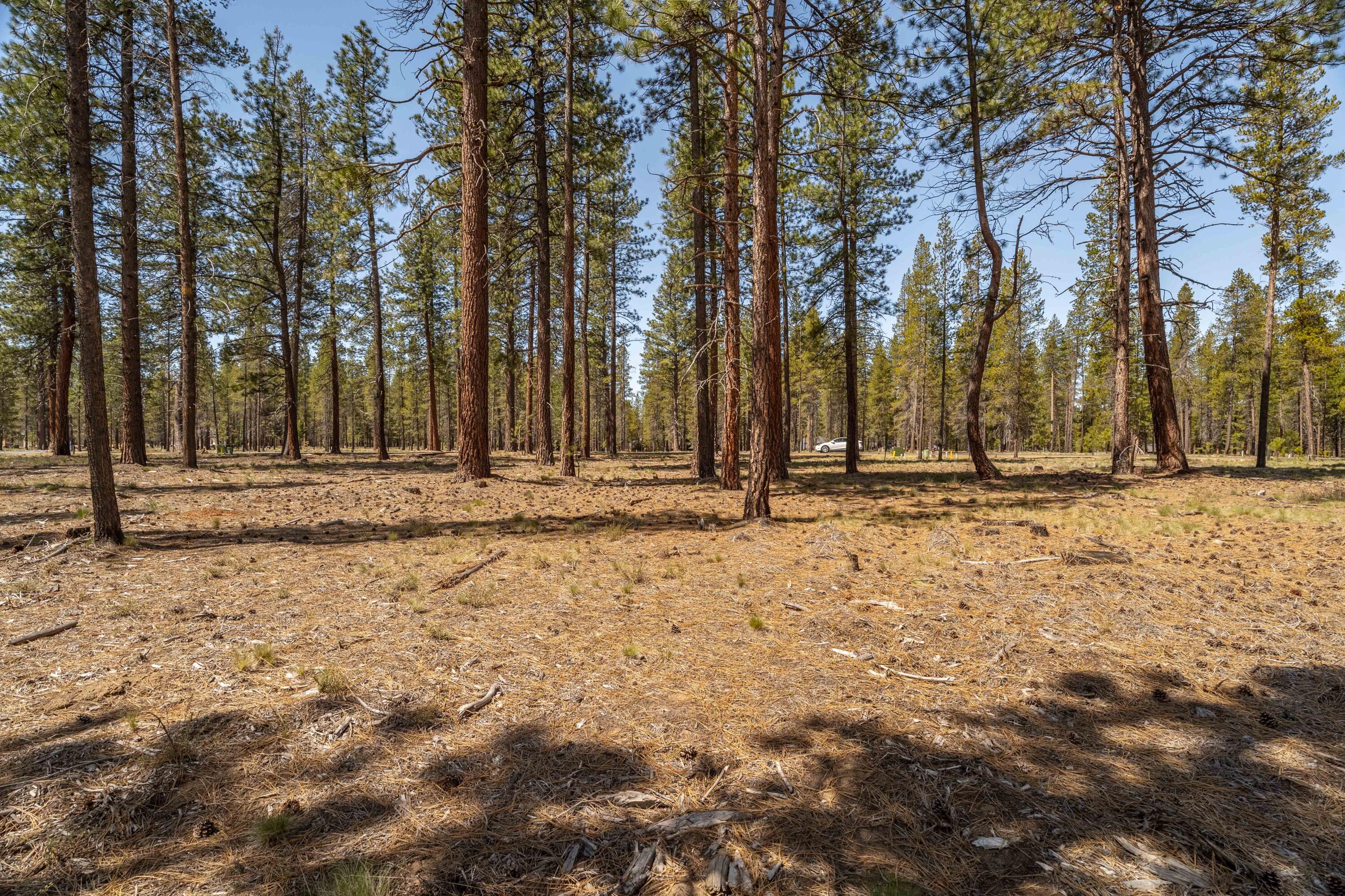 17788 Preservation Lp Unit: 487