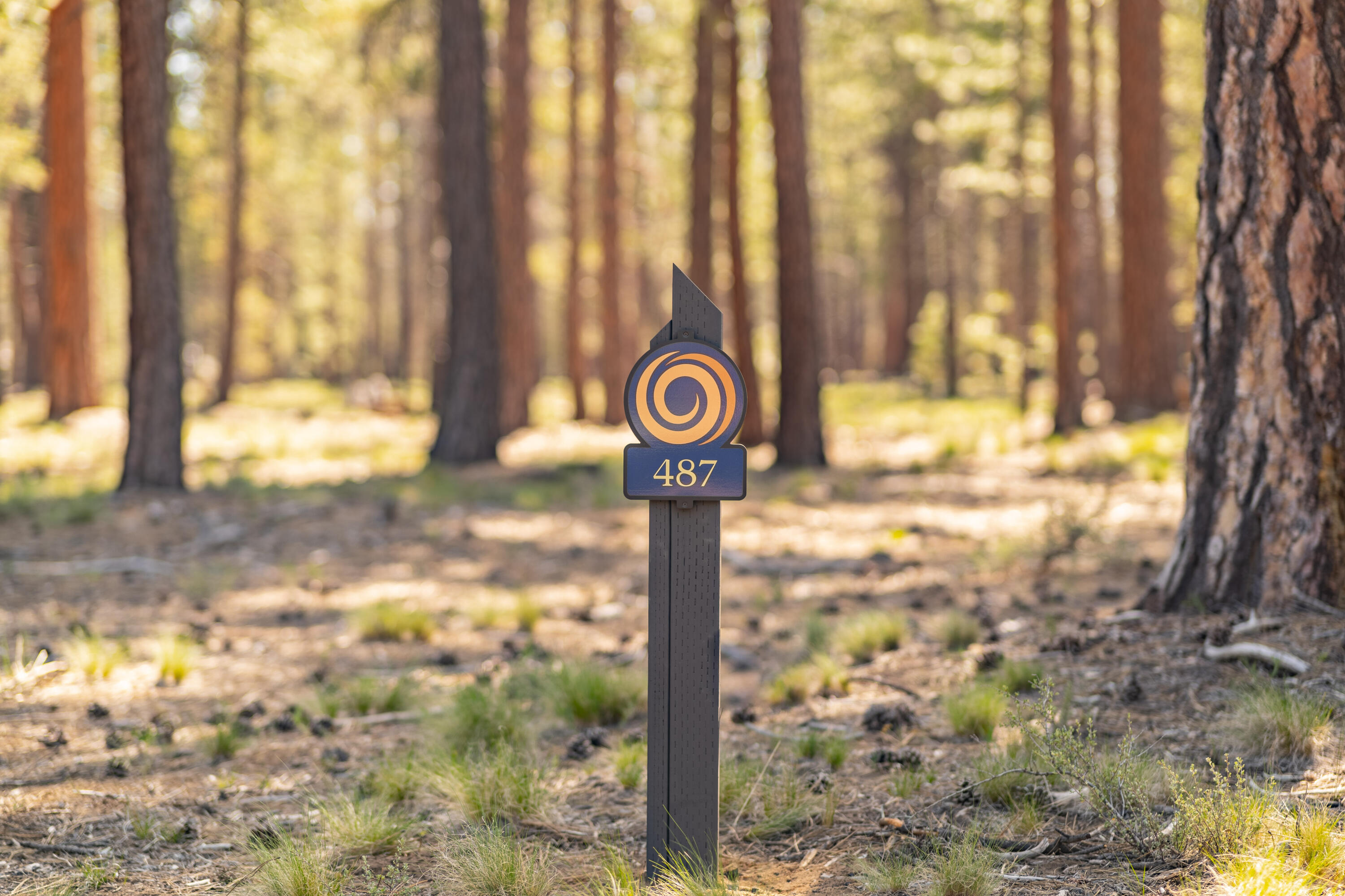 17788 Preservation Lp Unit: 487