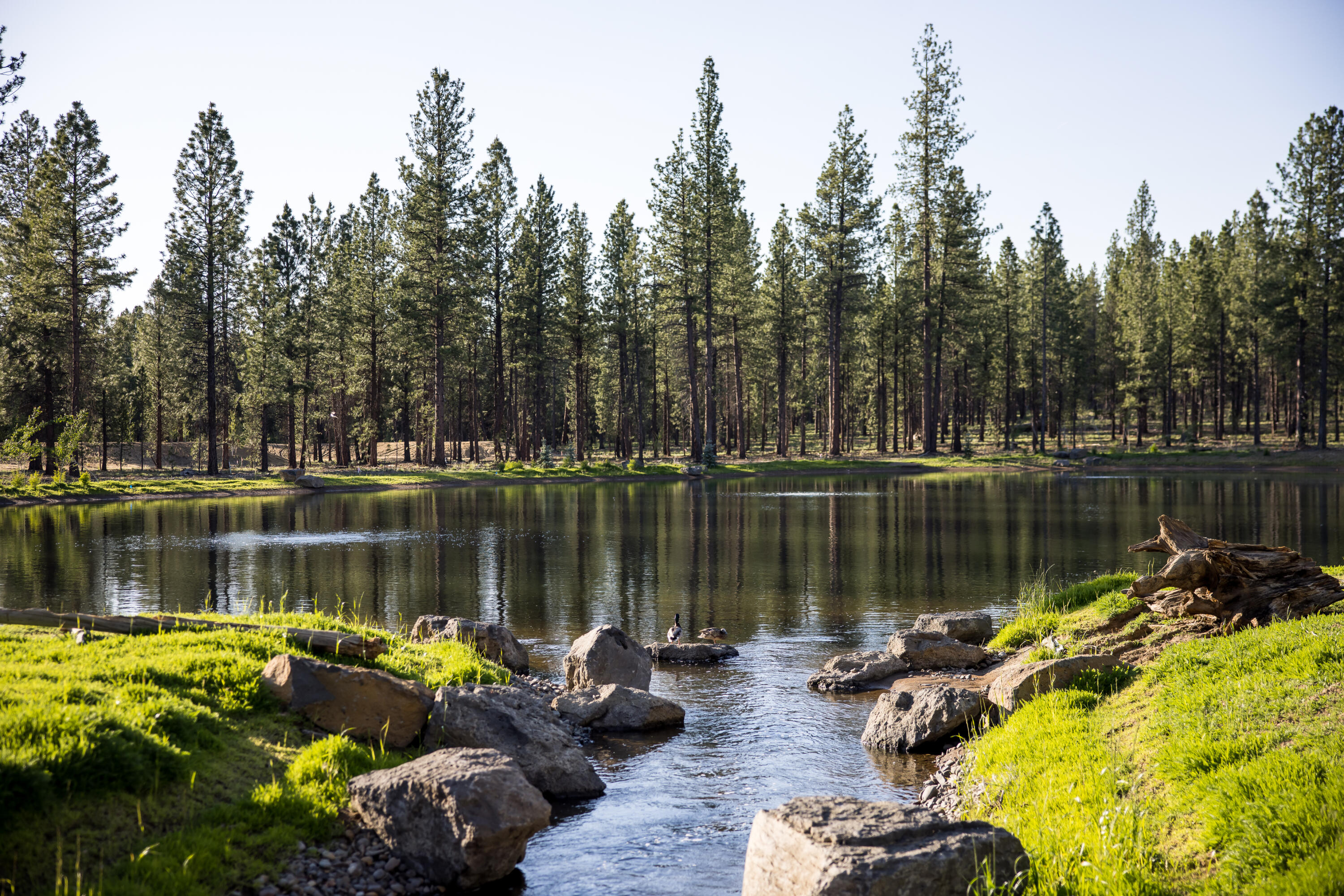 18233 Forestbrook Loop, 22