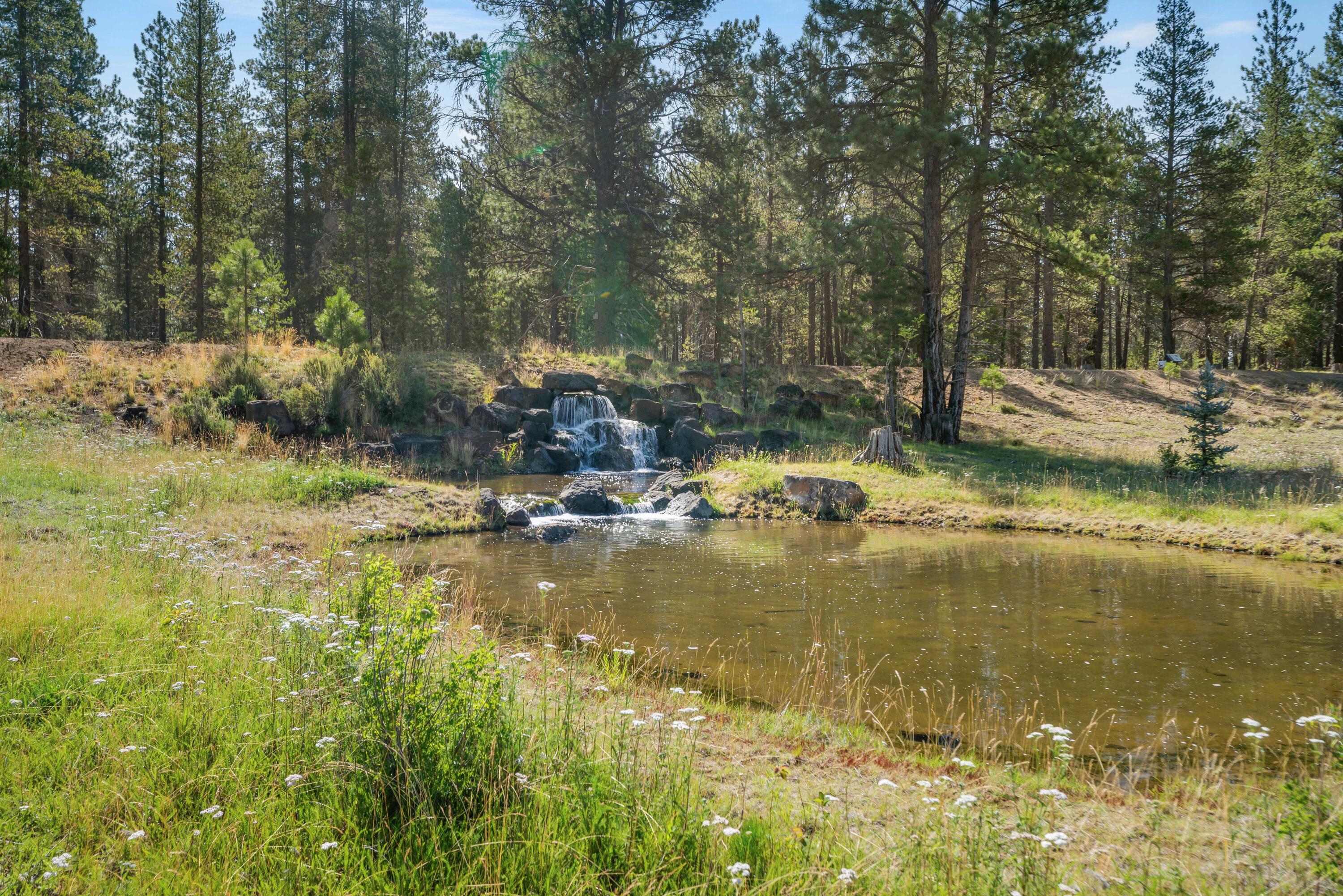 18233 Forestbrook Loop, 22