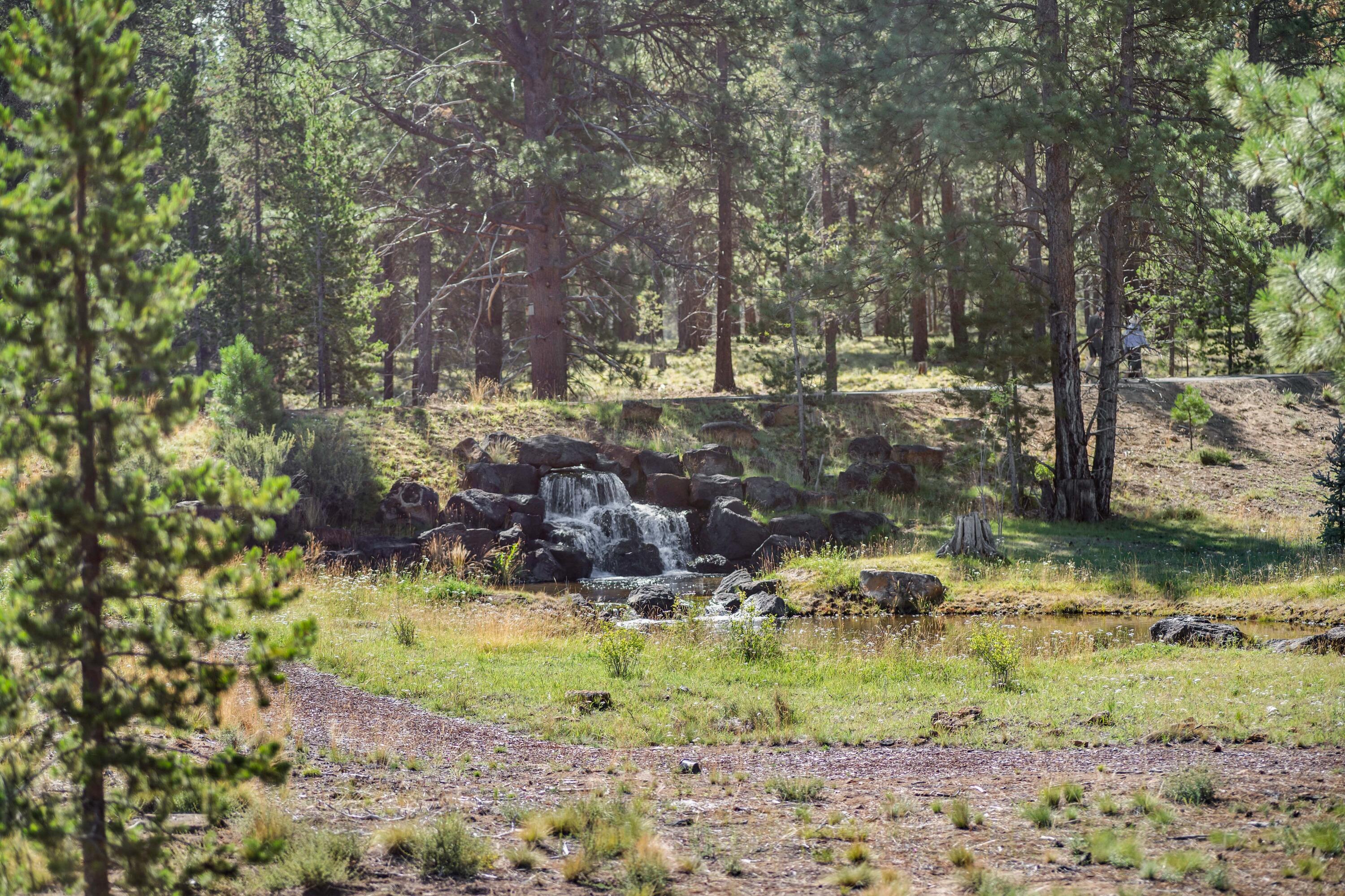 18233 Forestbrook Loop, 22