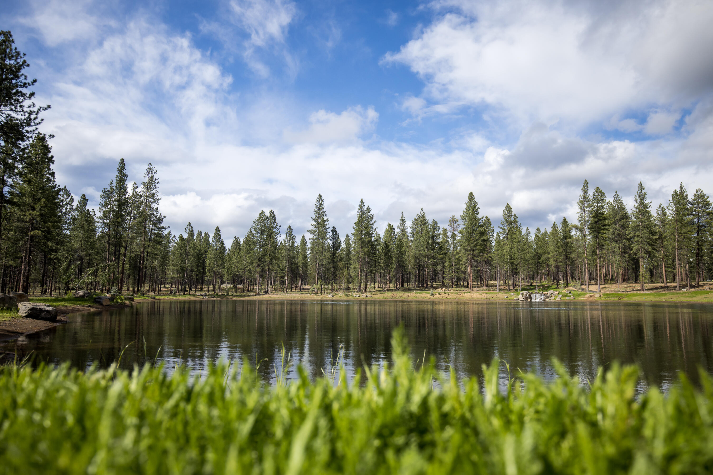 18233 Forestbrook Loop, 22