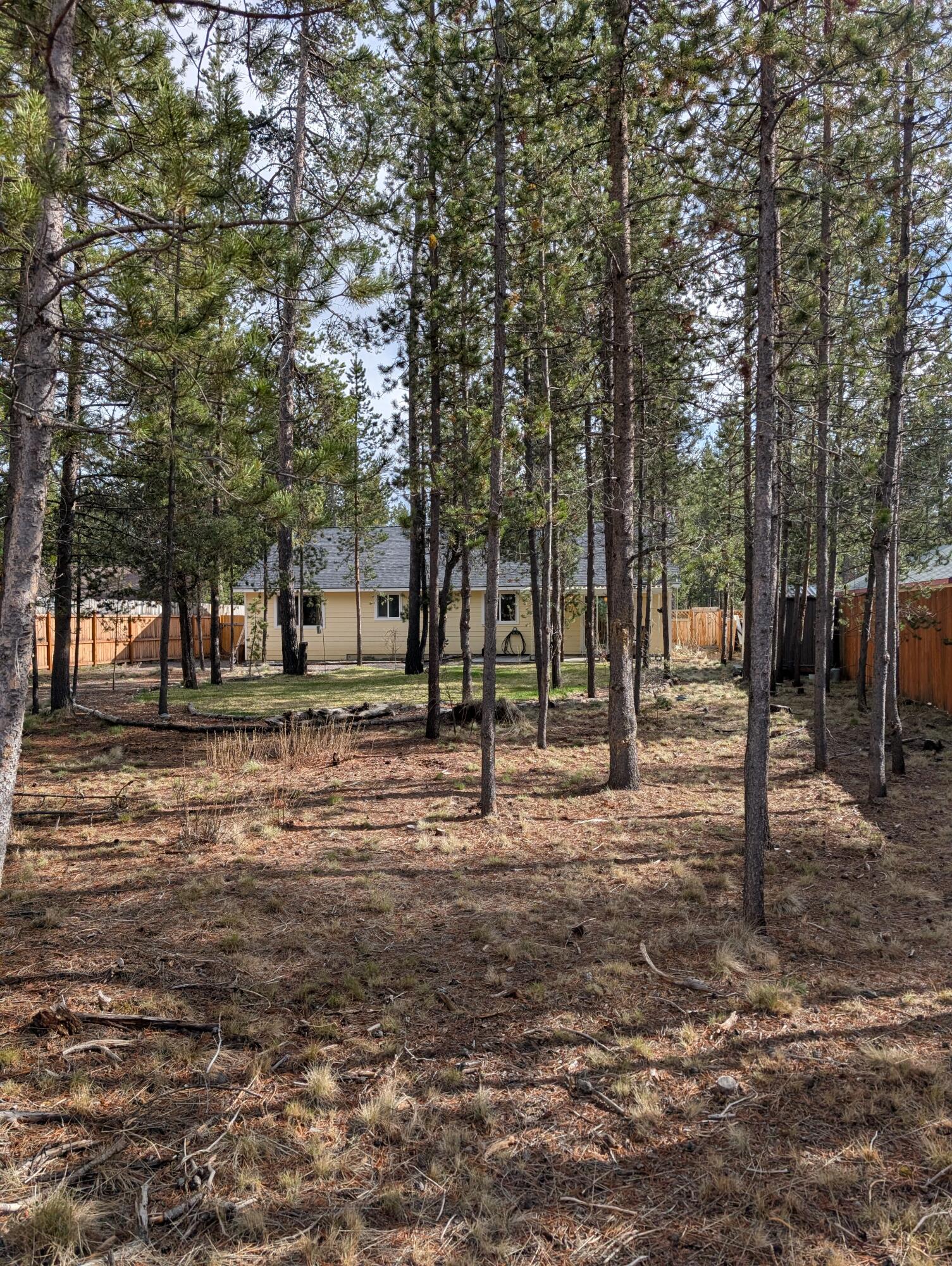 17316 Golden Eye Drive