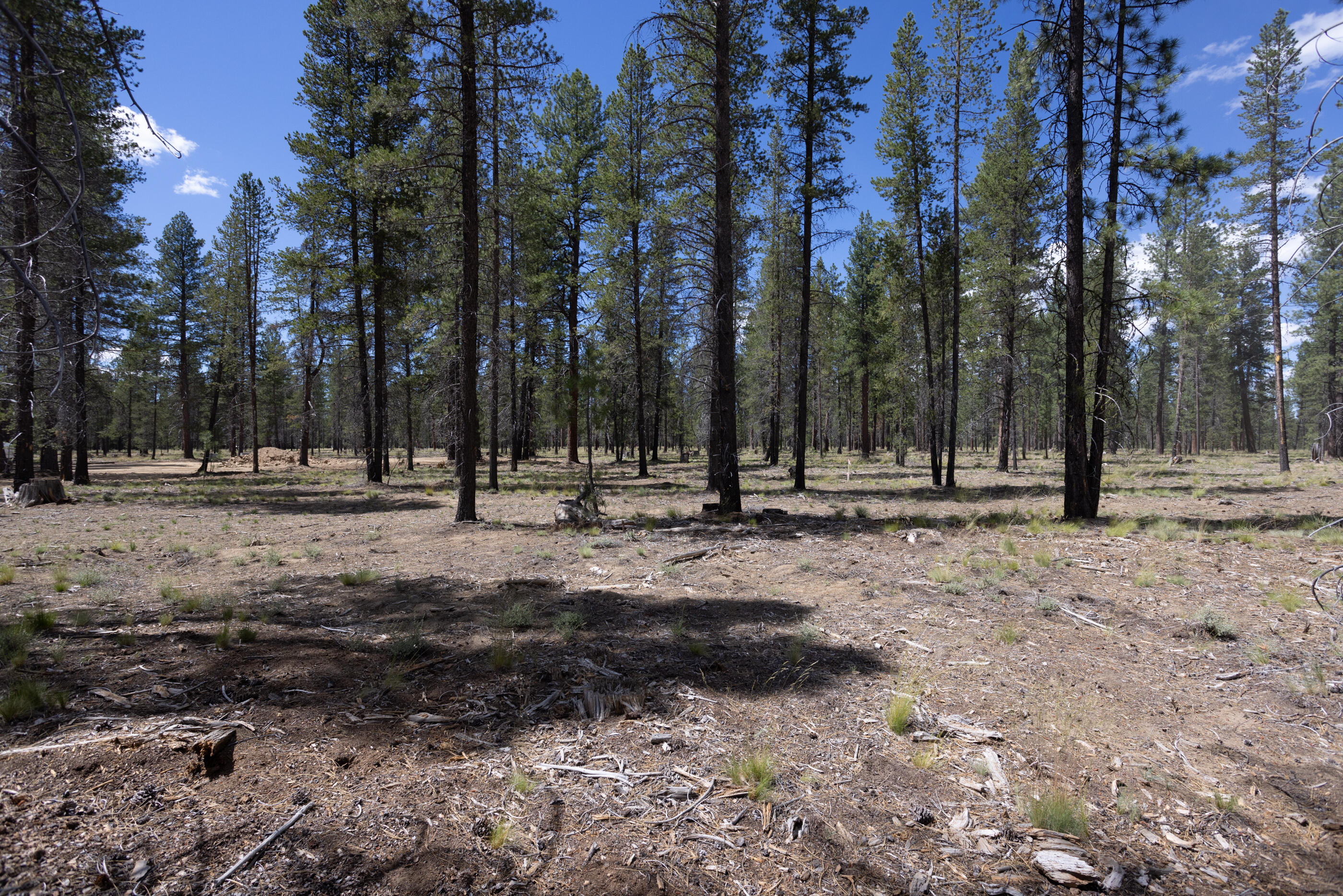 17748 Preservation Loop, 483