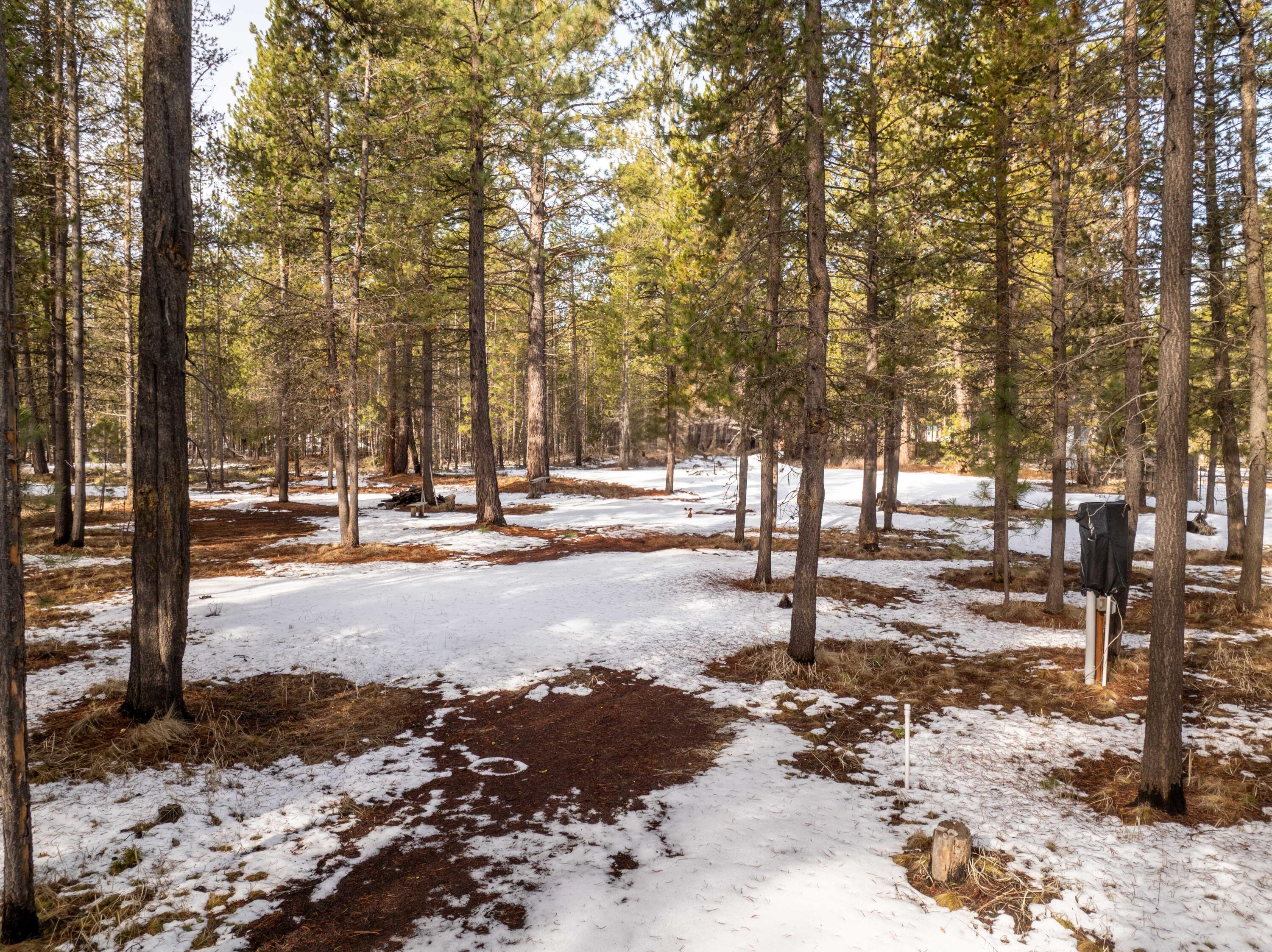54615 Gray Squirrel Drive