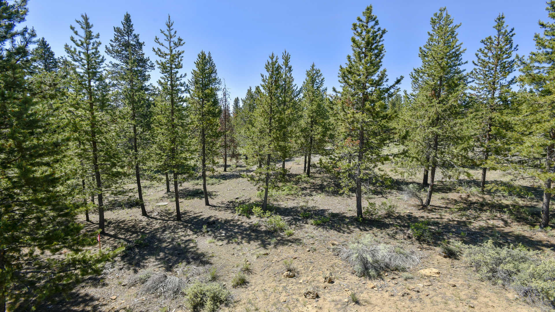 57671 Poplar Lane, 23