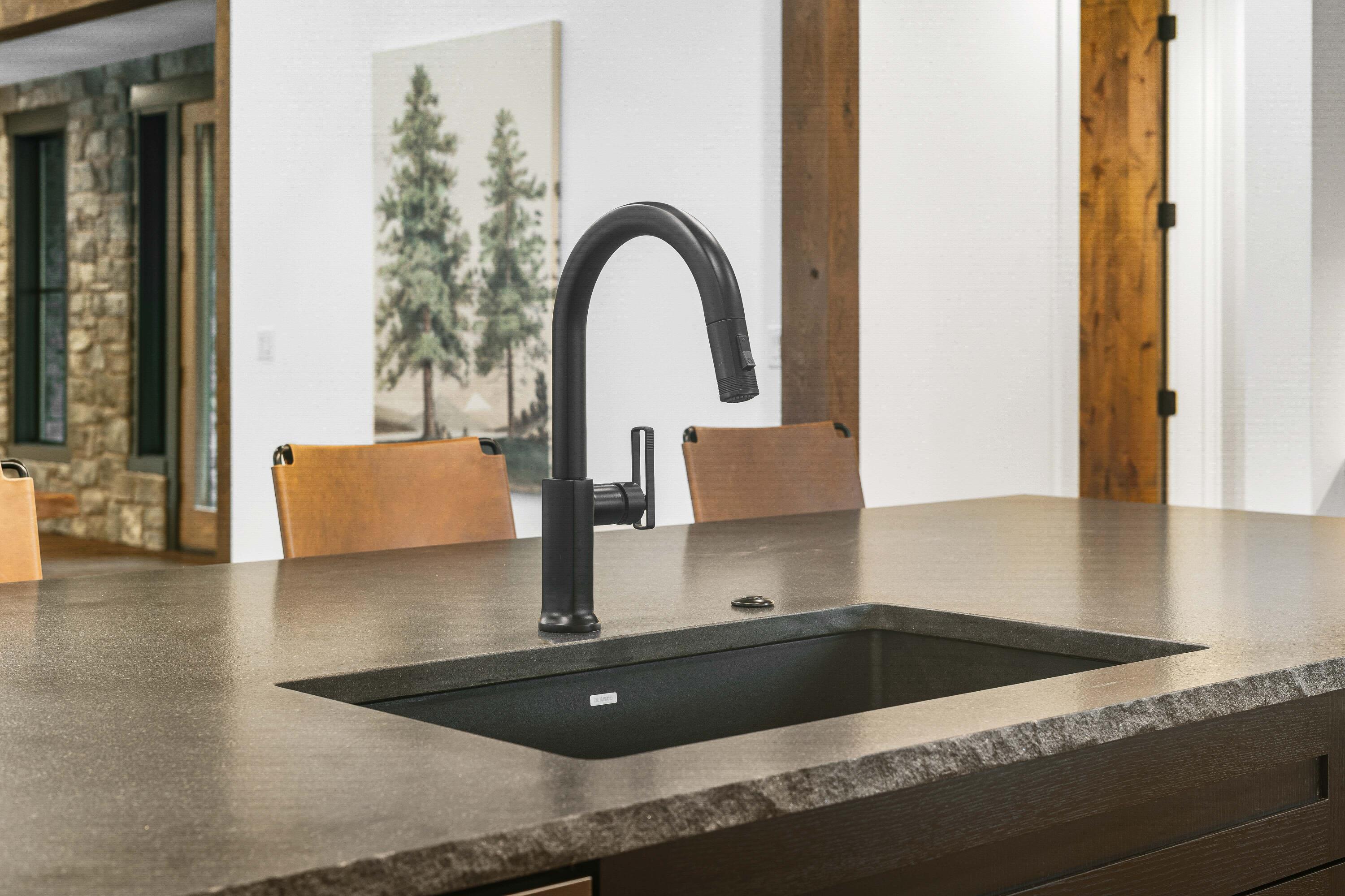 56393 Elk Run Lane, 419