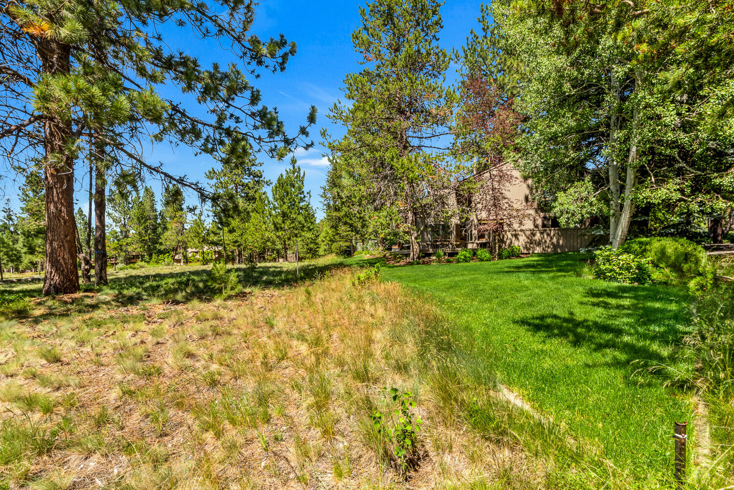 58051 Trophy Lane, 8