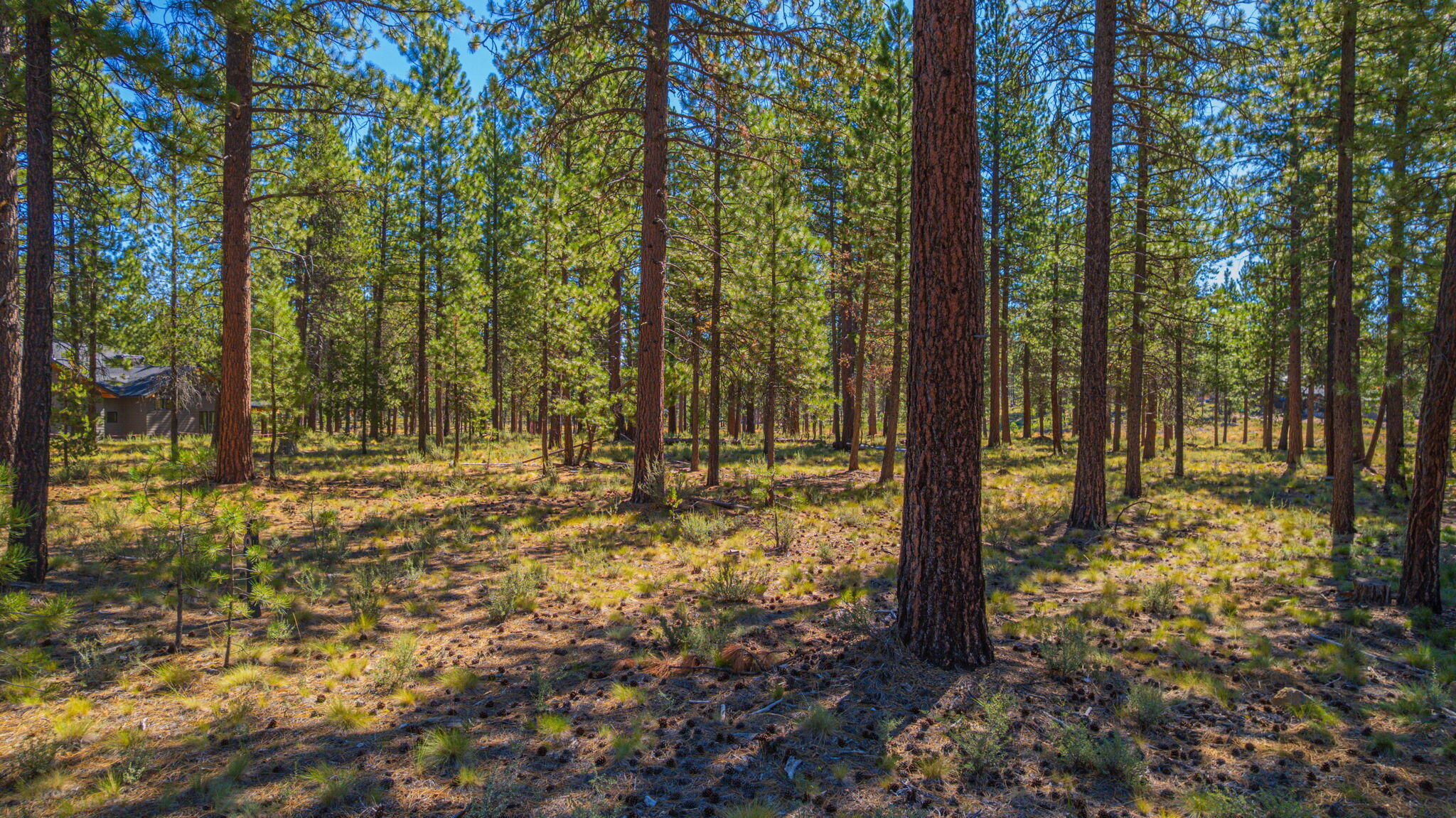 56277 Elk Run Drive, 393