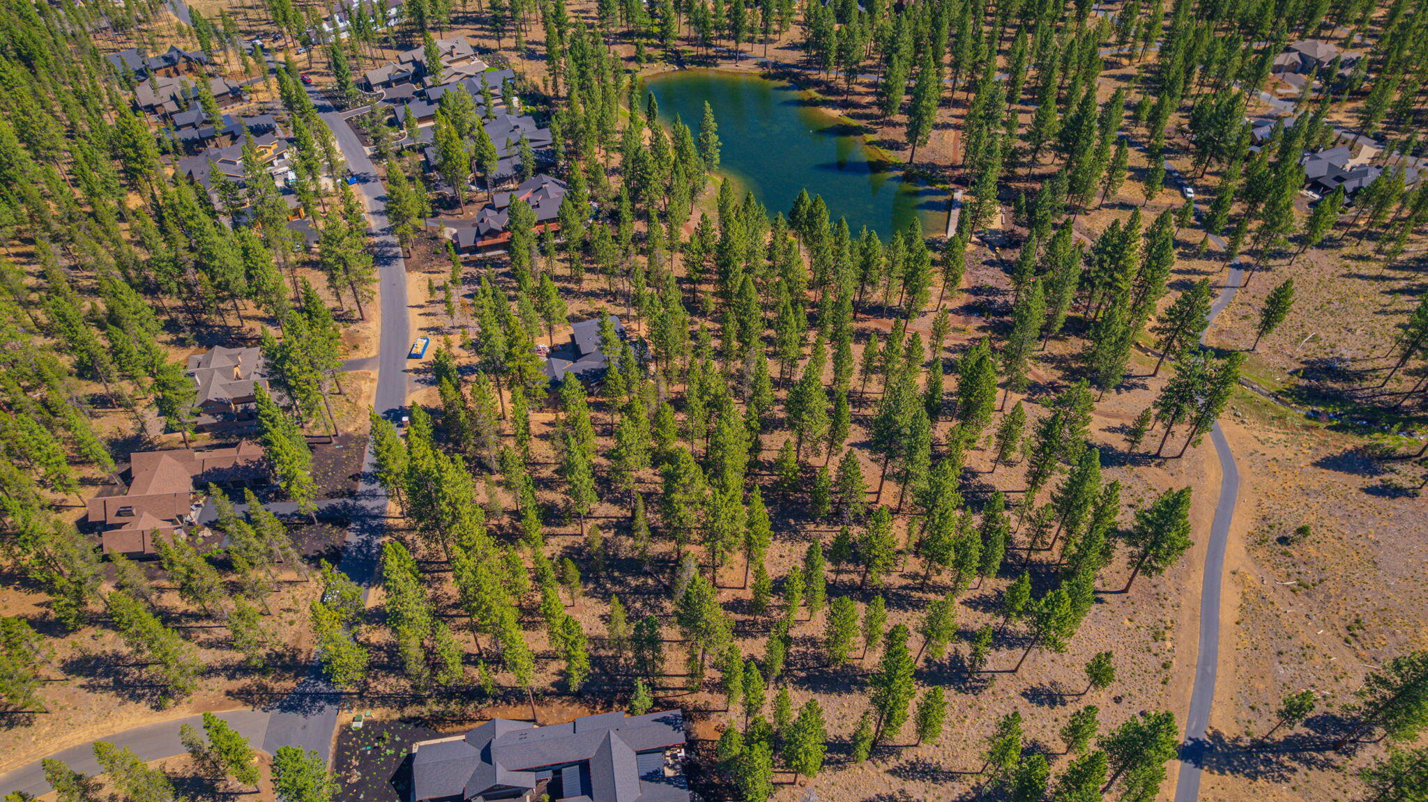 56277 Elk Run Drive, 393
