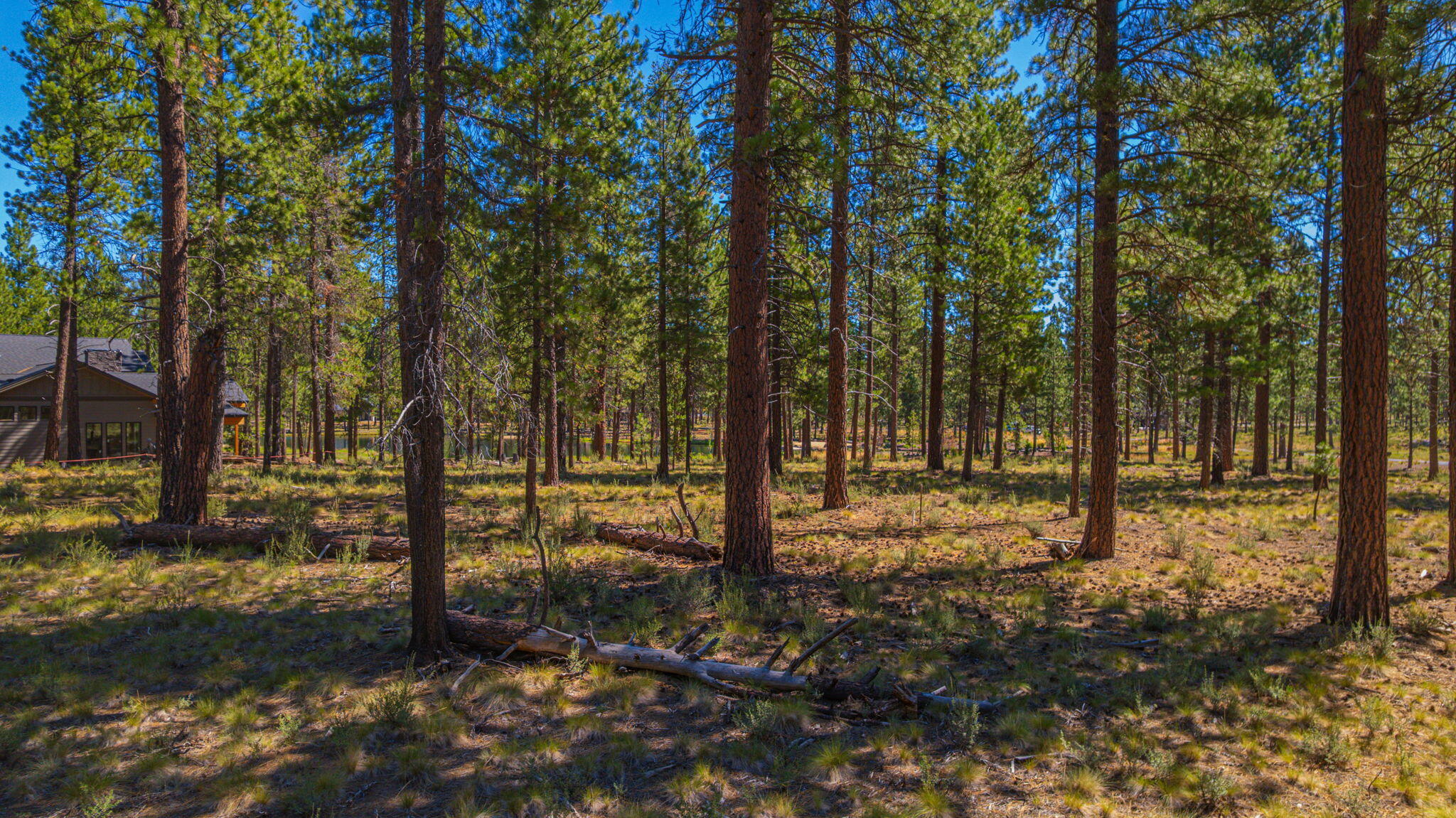 56277 Elk Run Drive, 393