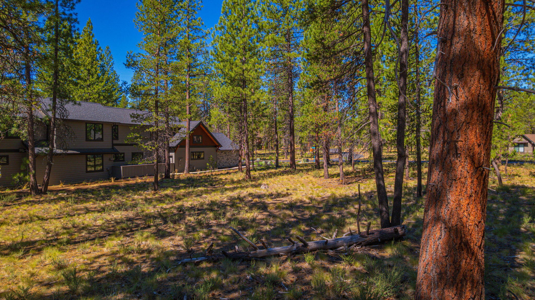 56277 Elk Run Drive, 393