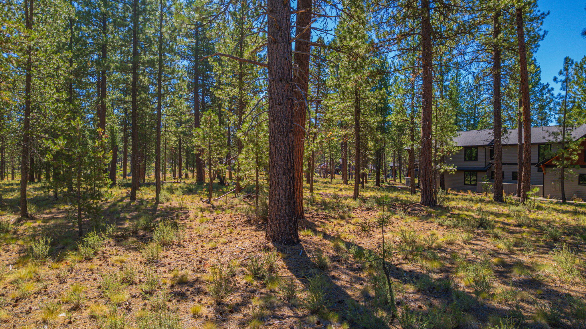 56277 Elk Run Drive, 393