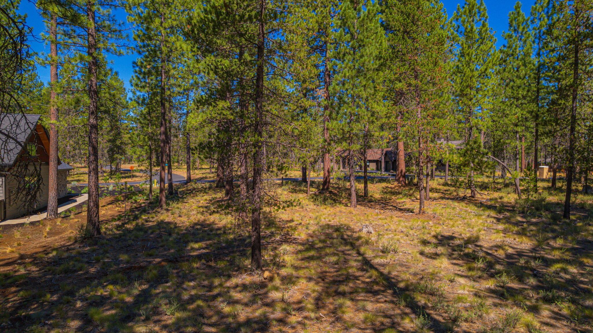 56277 Elk Run Drive, 393