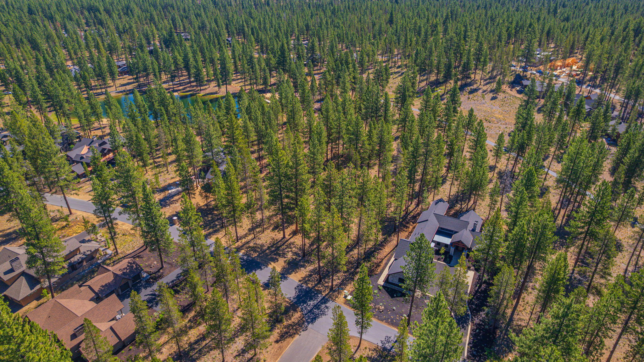 56277 Elk Run Drive, 393
