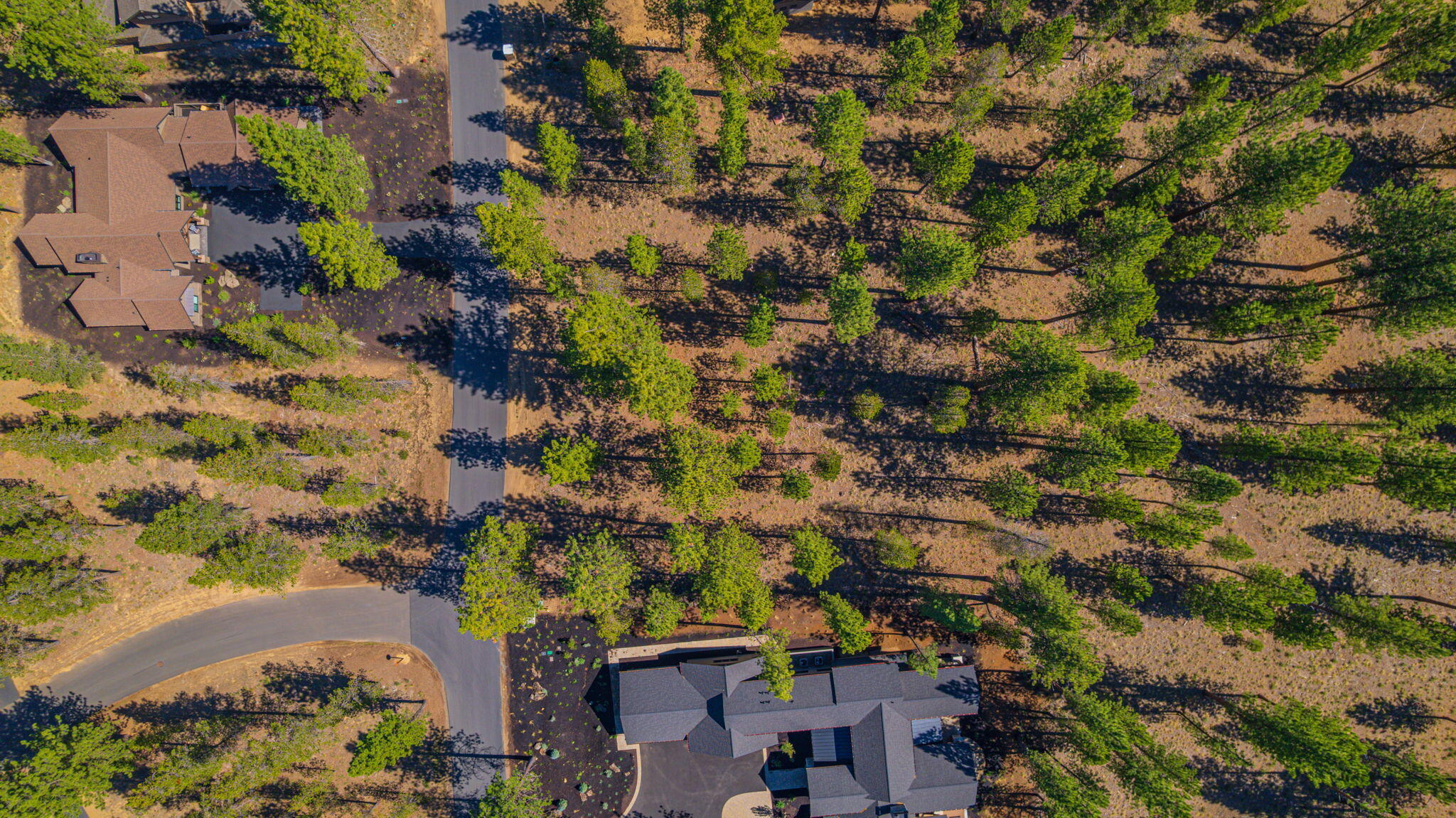 56277 Elk Run Drive, 393
