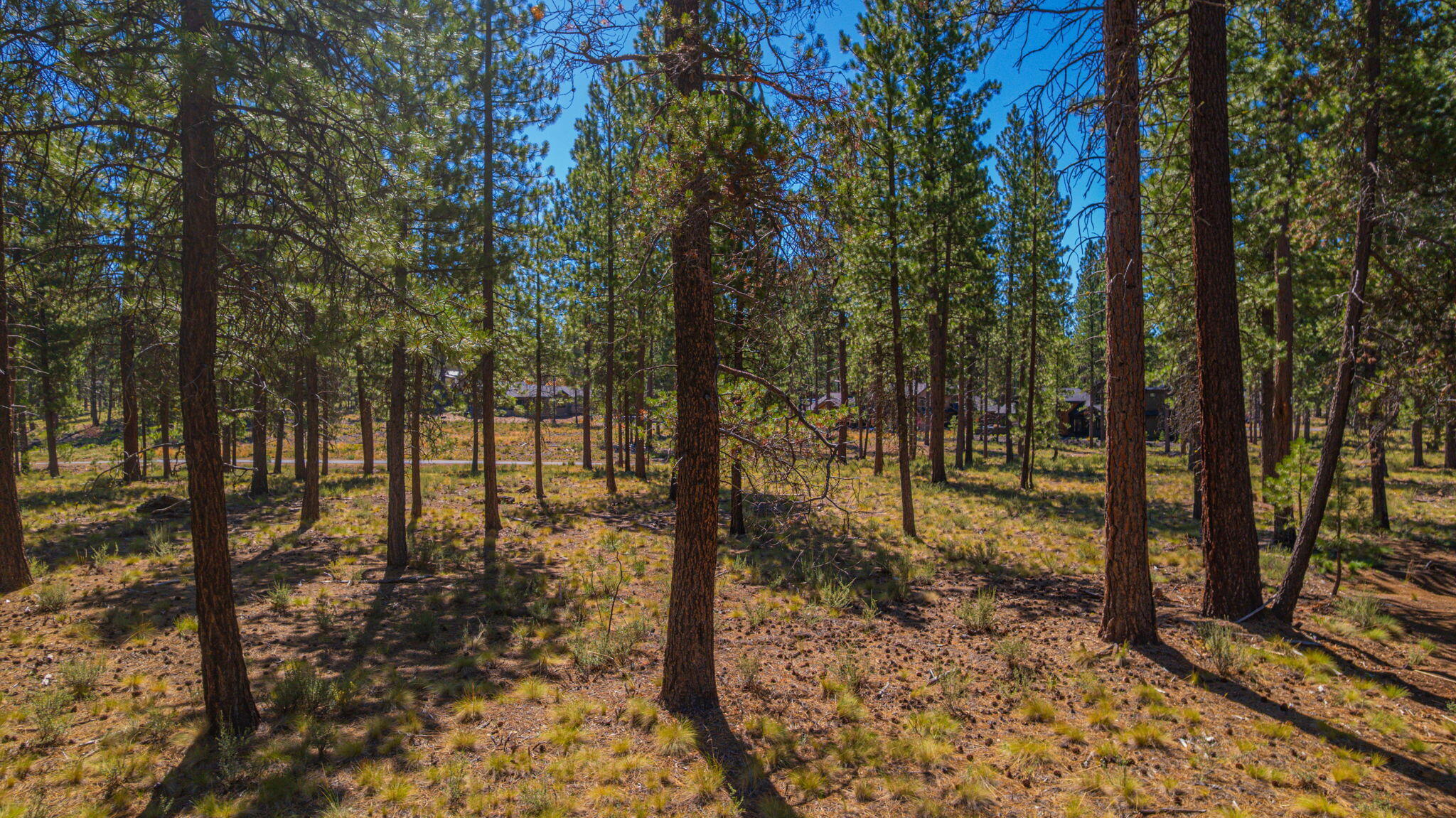 56277 Elk Run Drive, 393