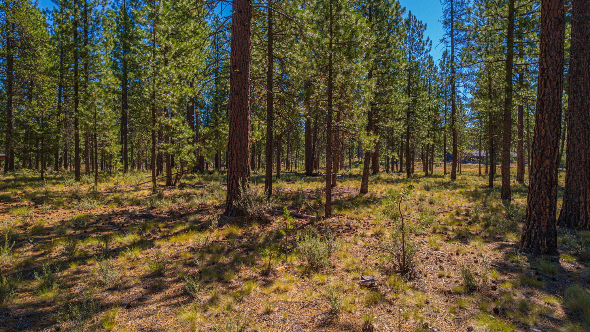 56277 Elk Run Drive, 393