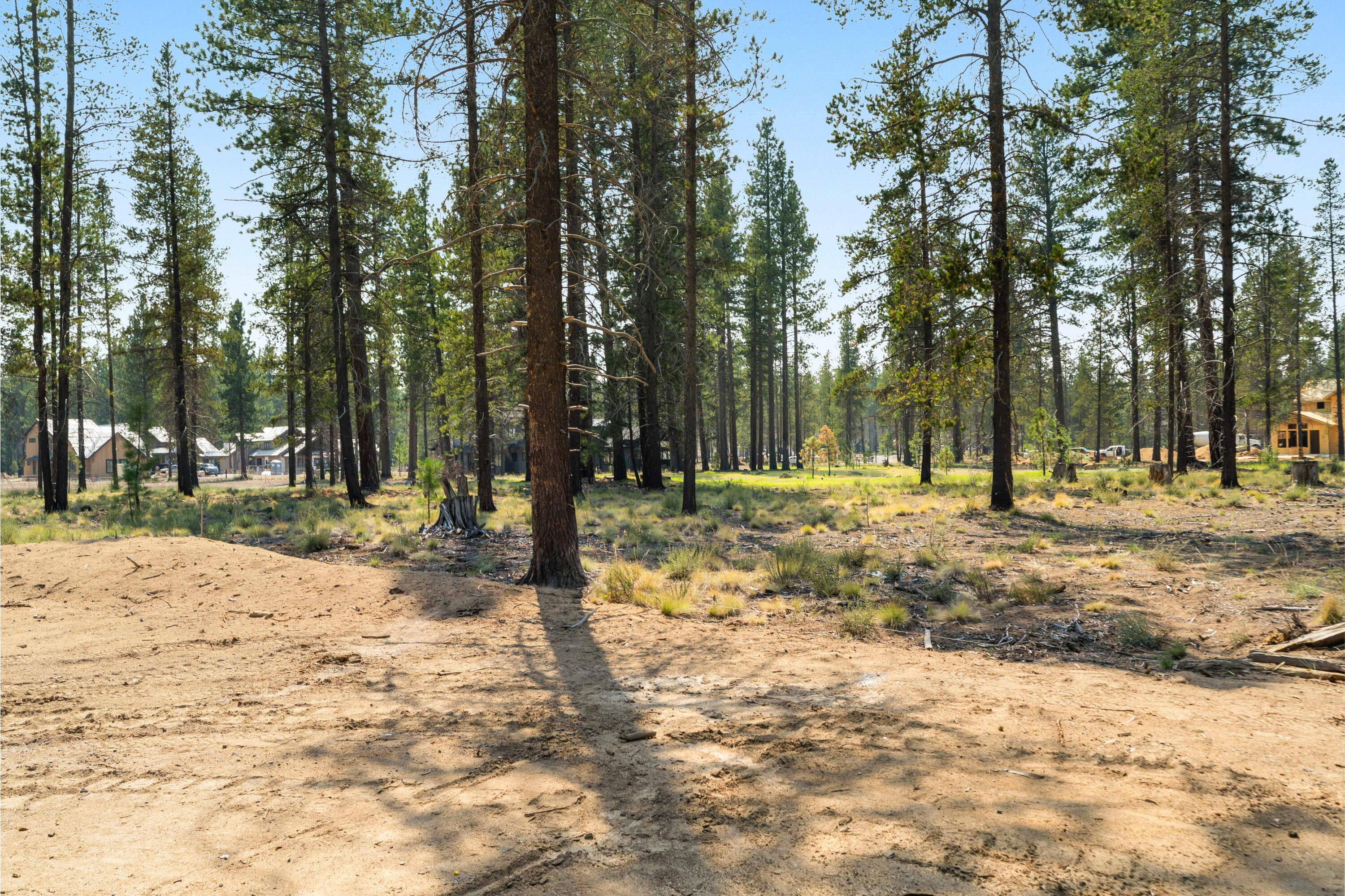 56236 Rockcress Lane, 436