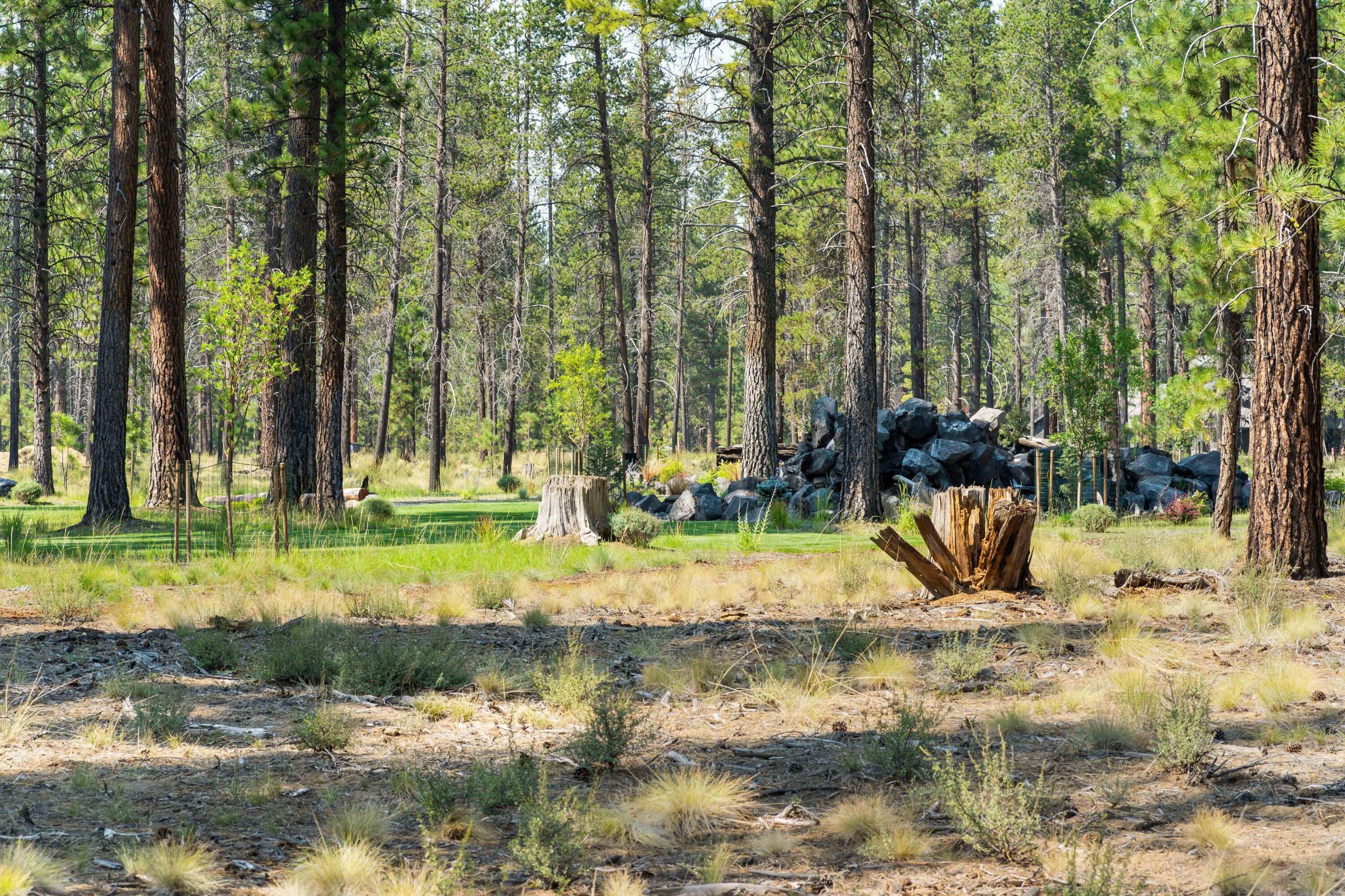 56244 Rockcress Lane, 437