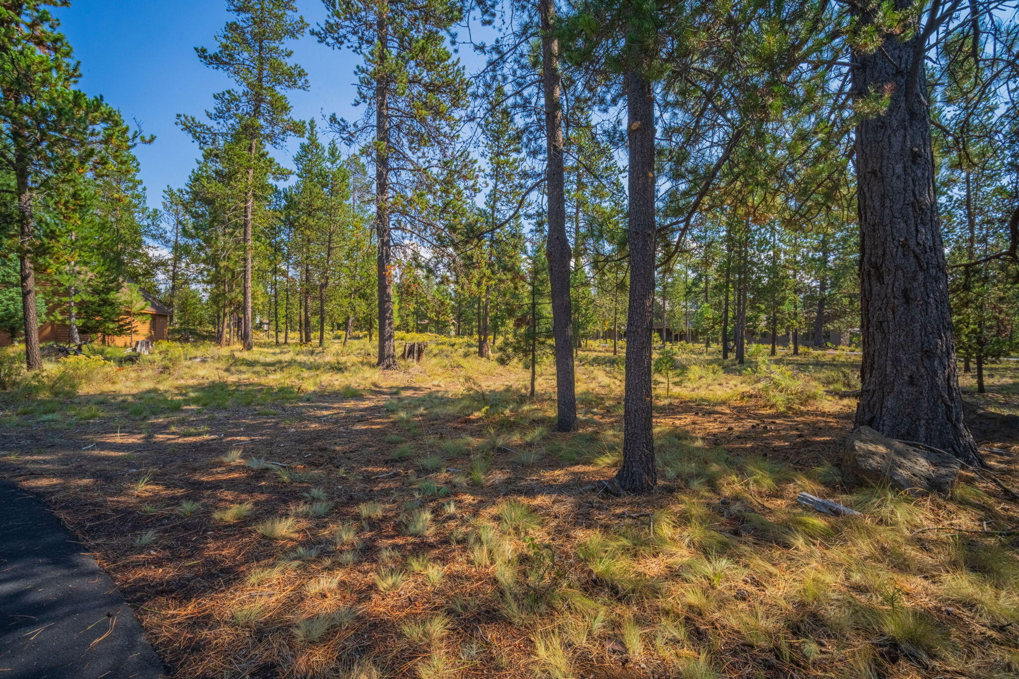 57712 Whistling Swan Lane, 4