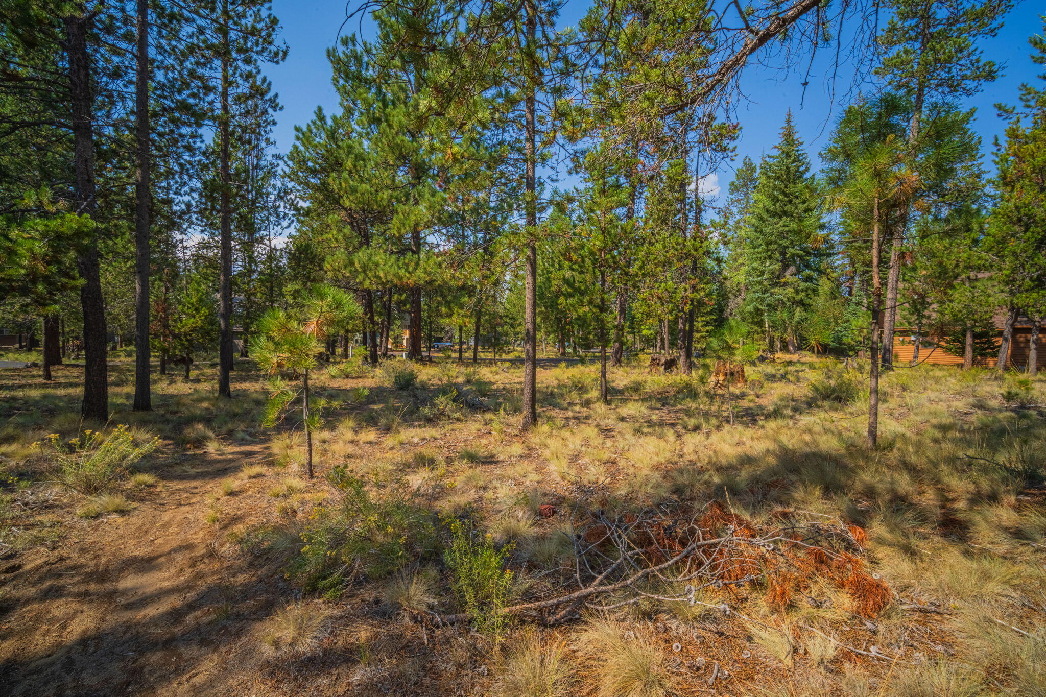 57712 Whistling Swan Lane, 4