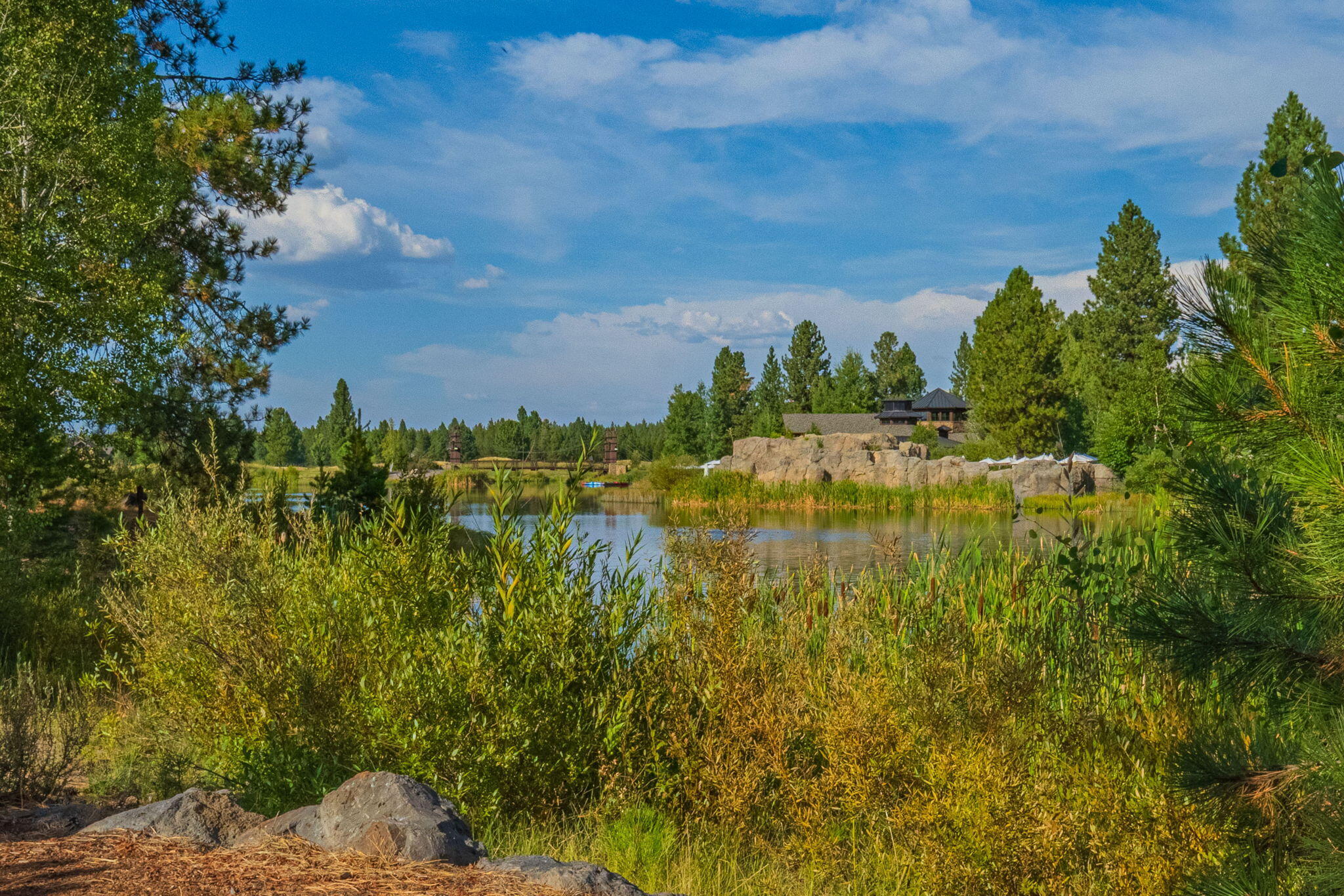 56508 Dancing Rock Loop, 22