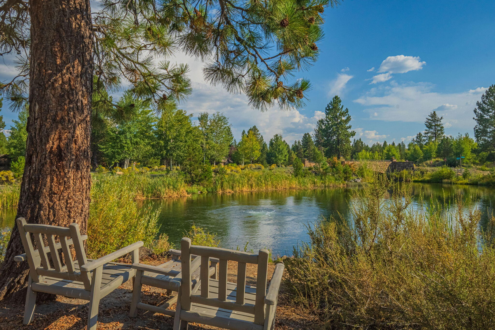 56508 Dancing Rock Loop, 22