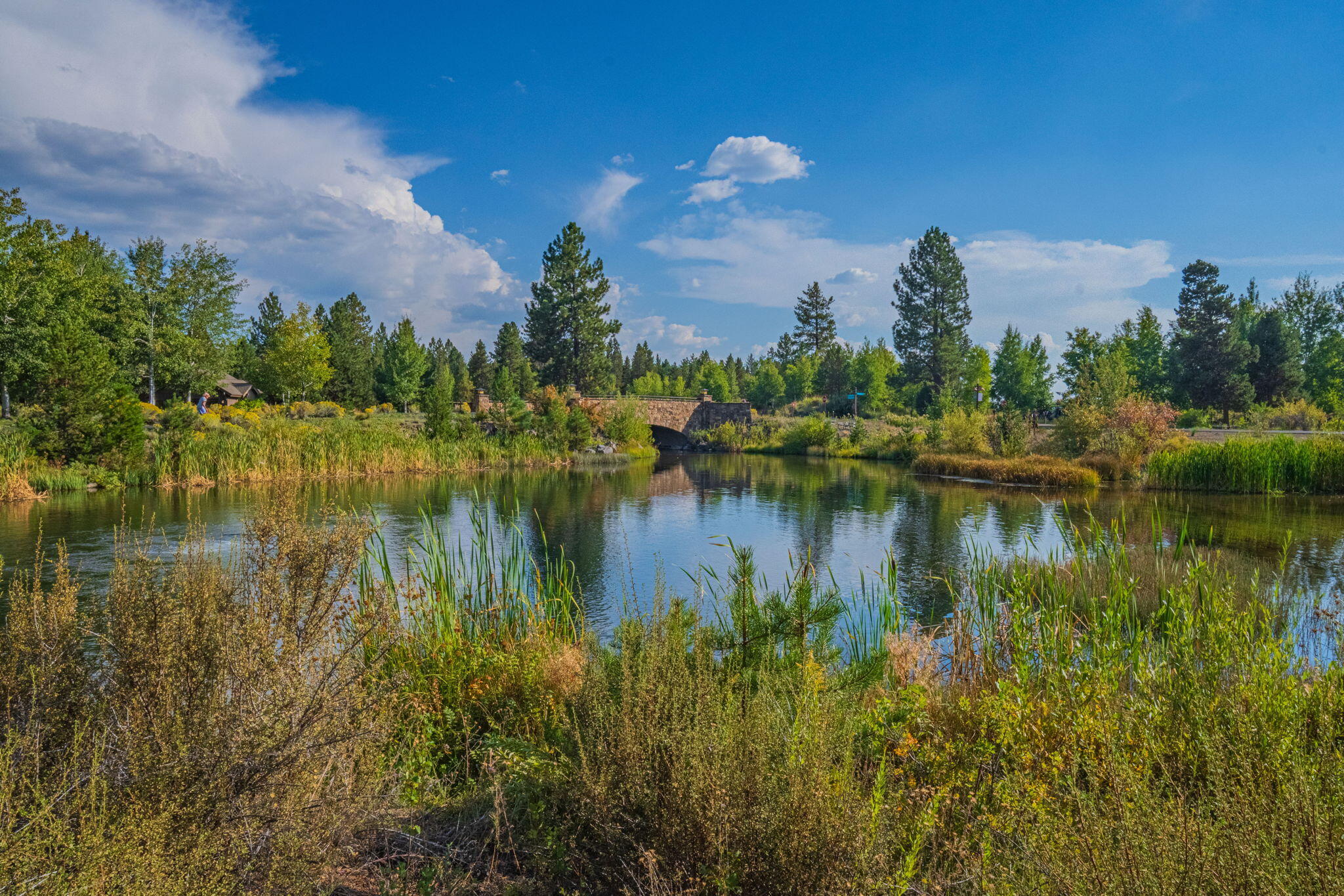 56508 Dancing Rock Loop, 22