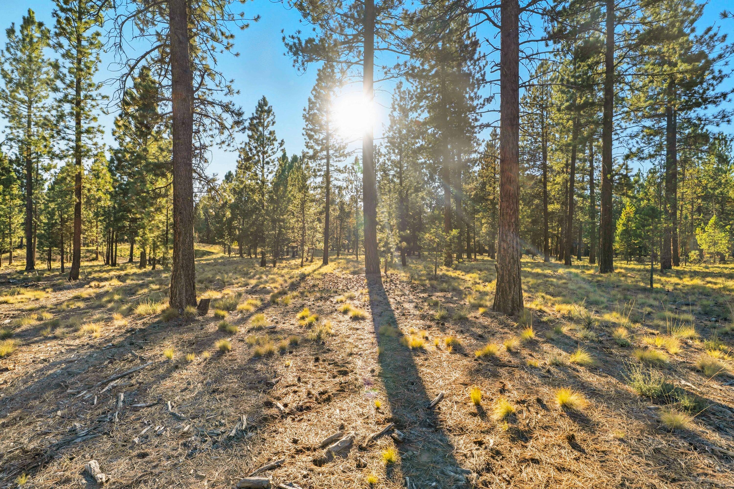 56468 Elk Run Drive, 494