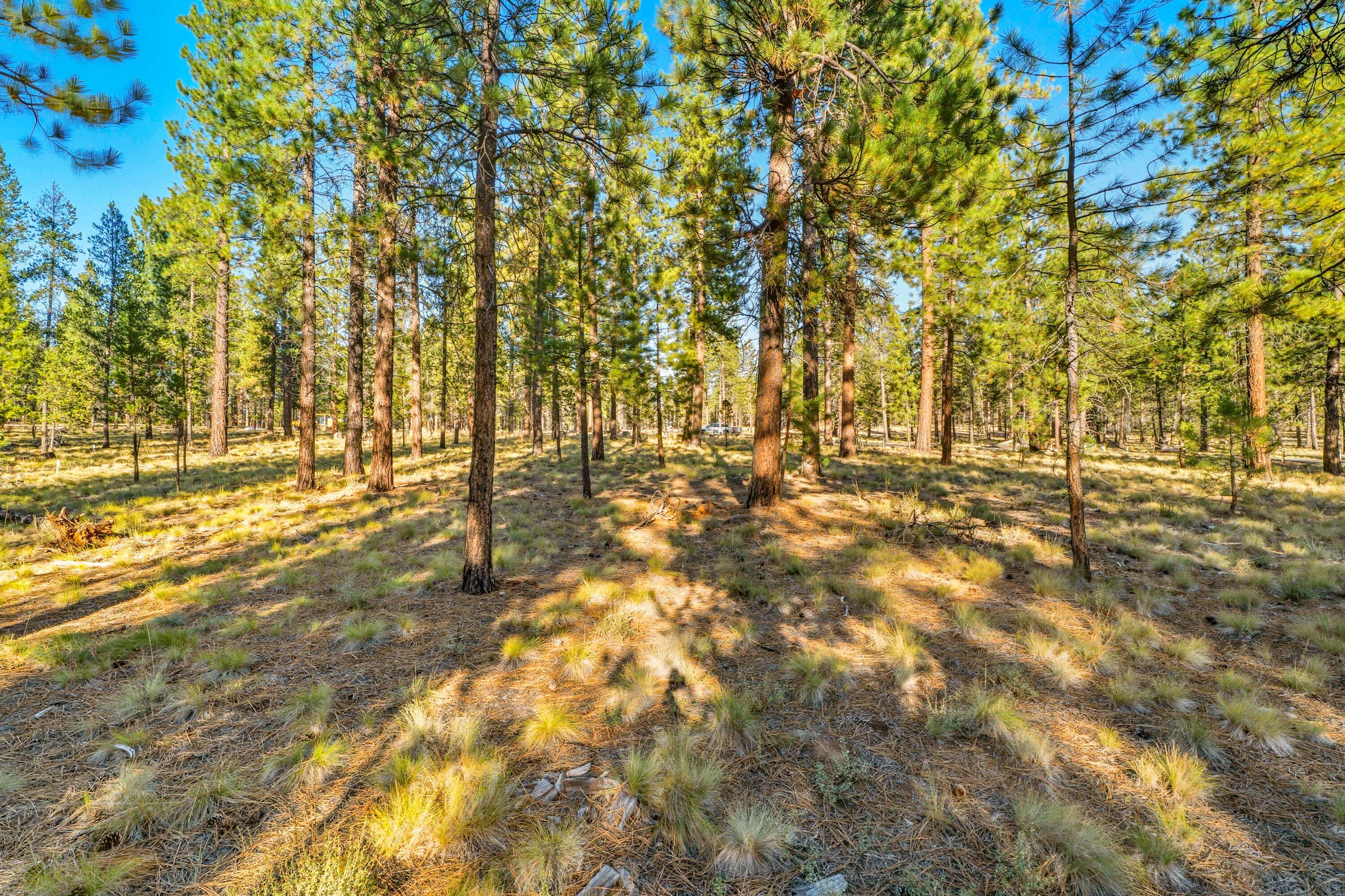 56468 Elk Run Drive, 494