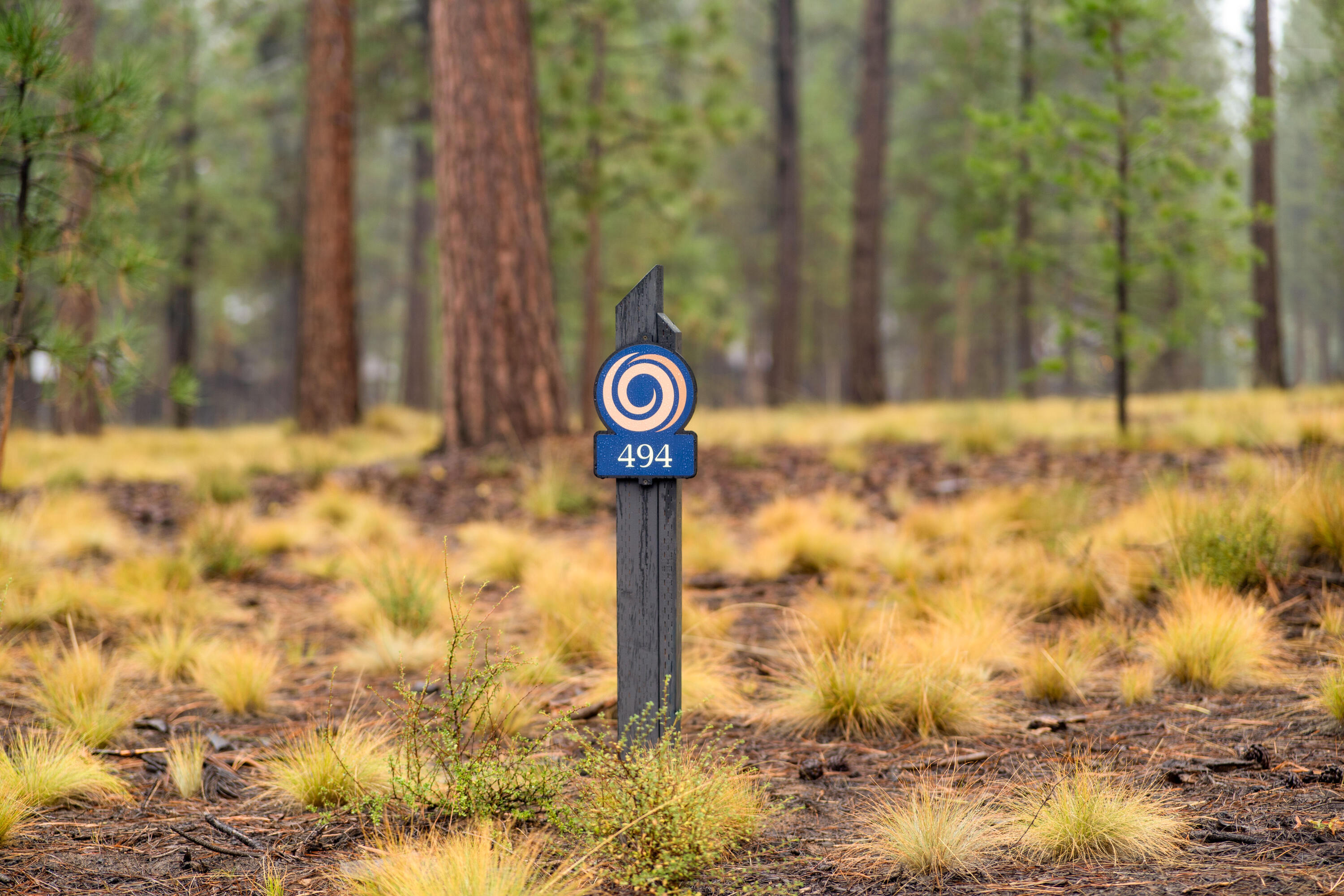 56468 Elk Run Drive, 494