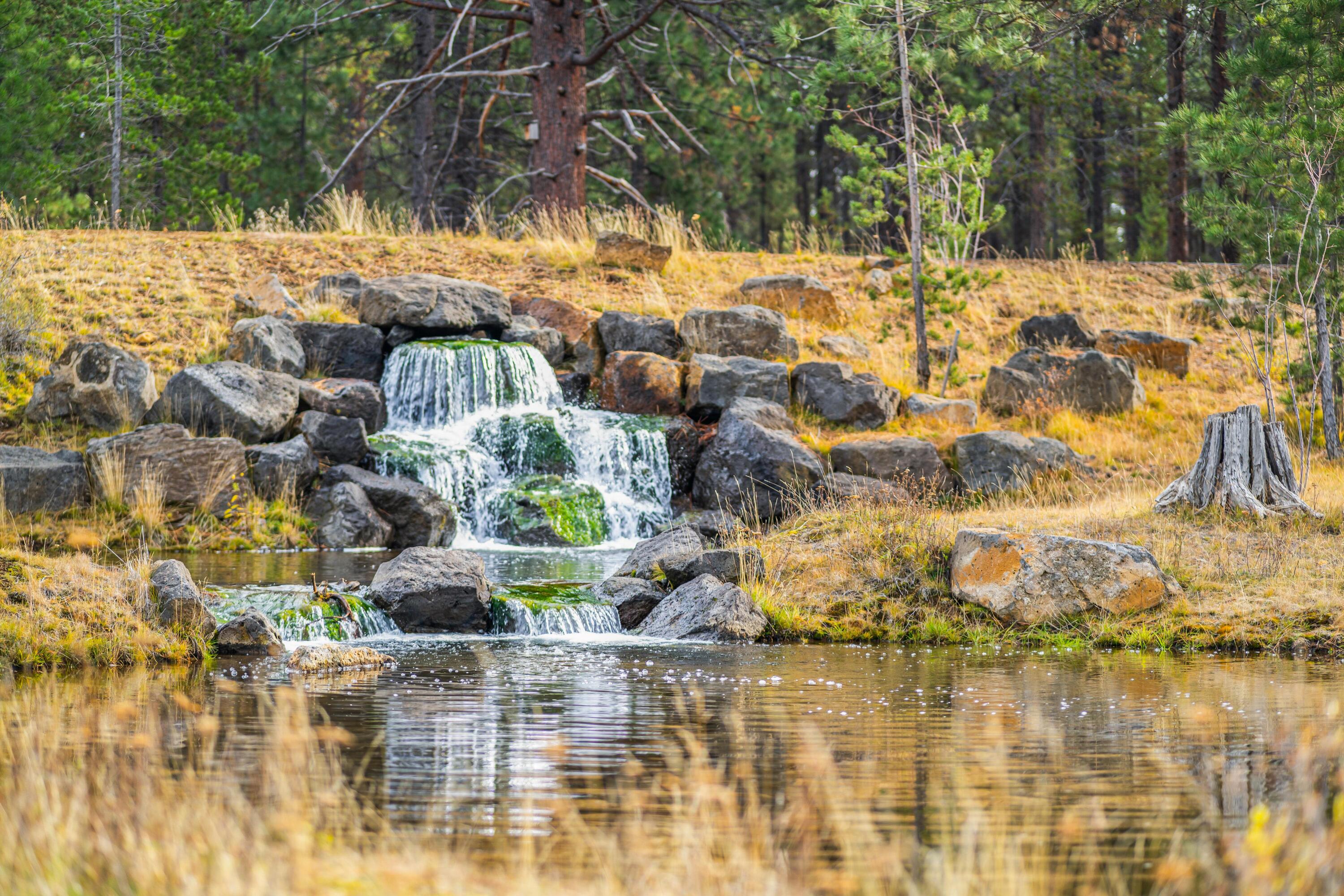 18245 Forestbrook Loop, 23