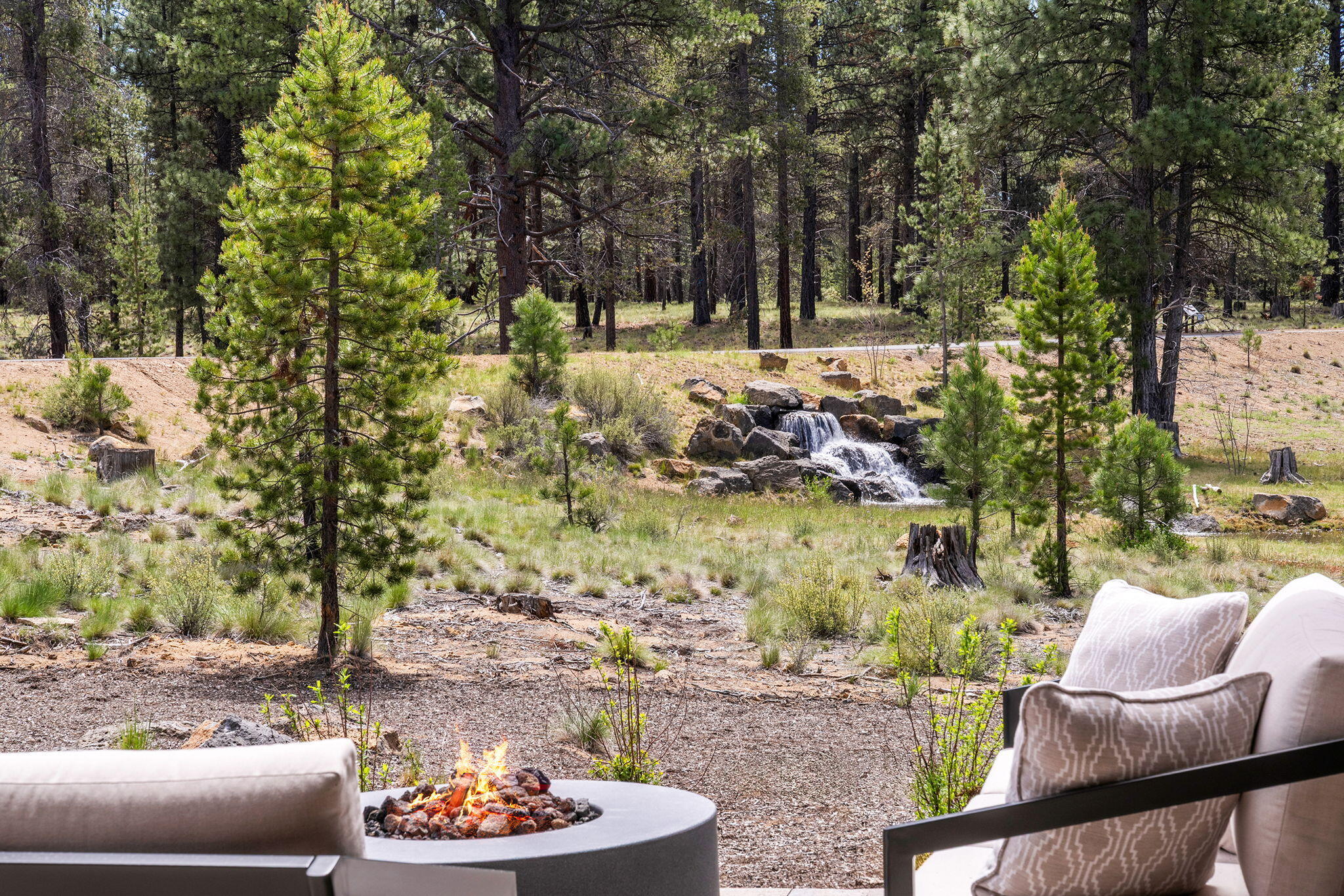 18245 Forestbrook Loop, 23 