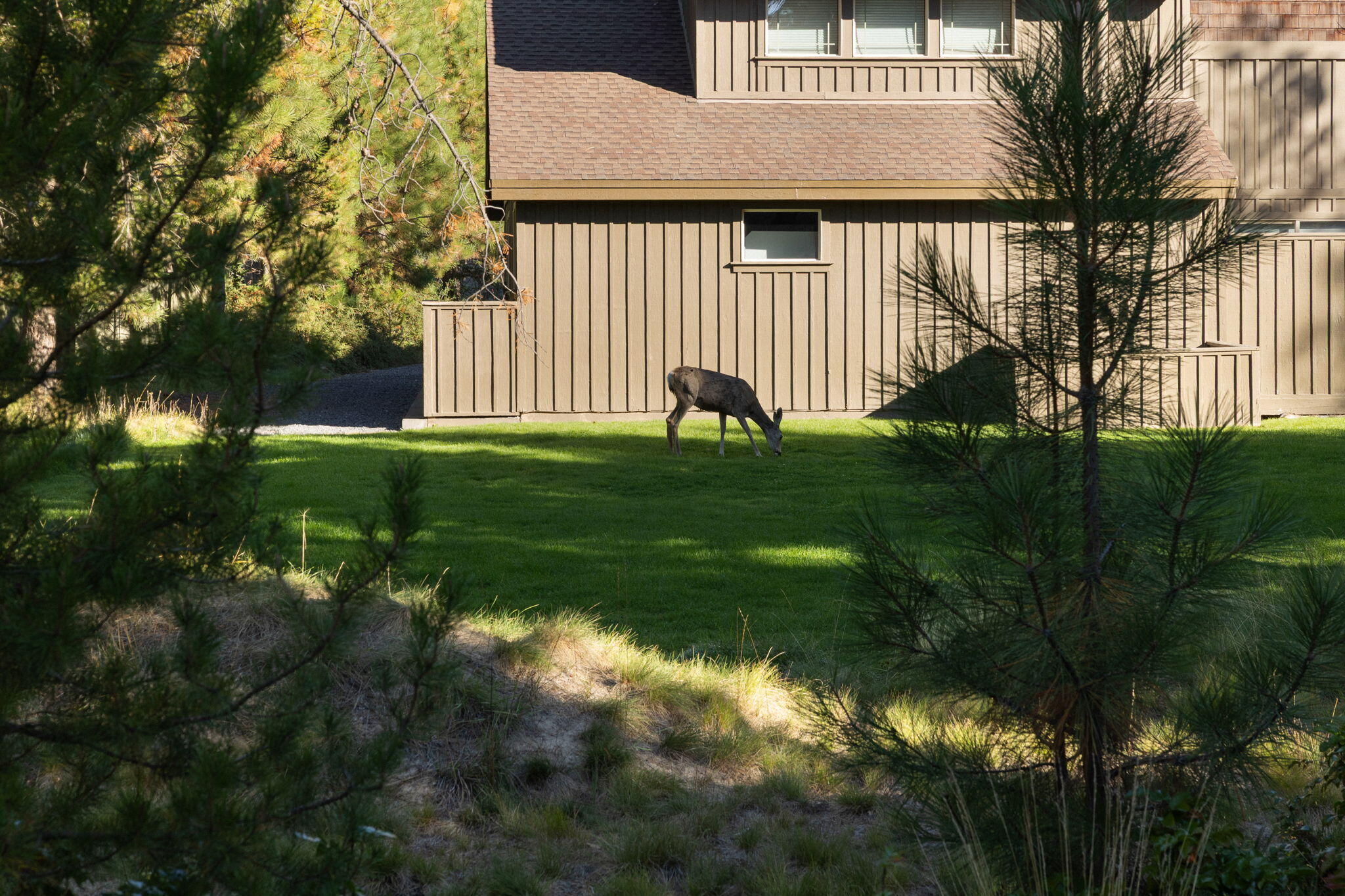 17712 Lake Aspen Court, 10