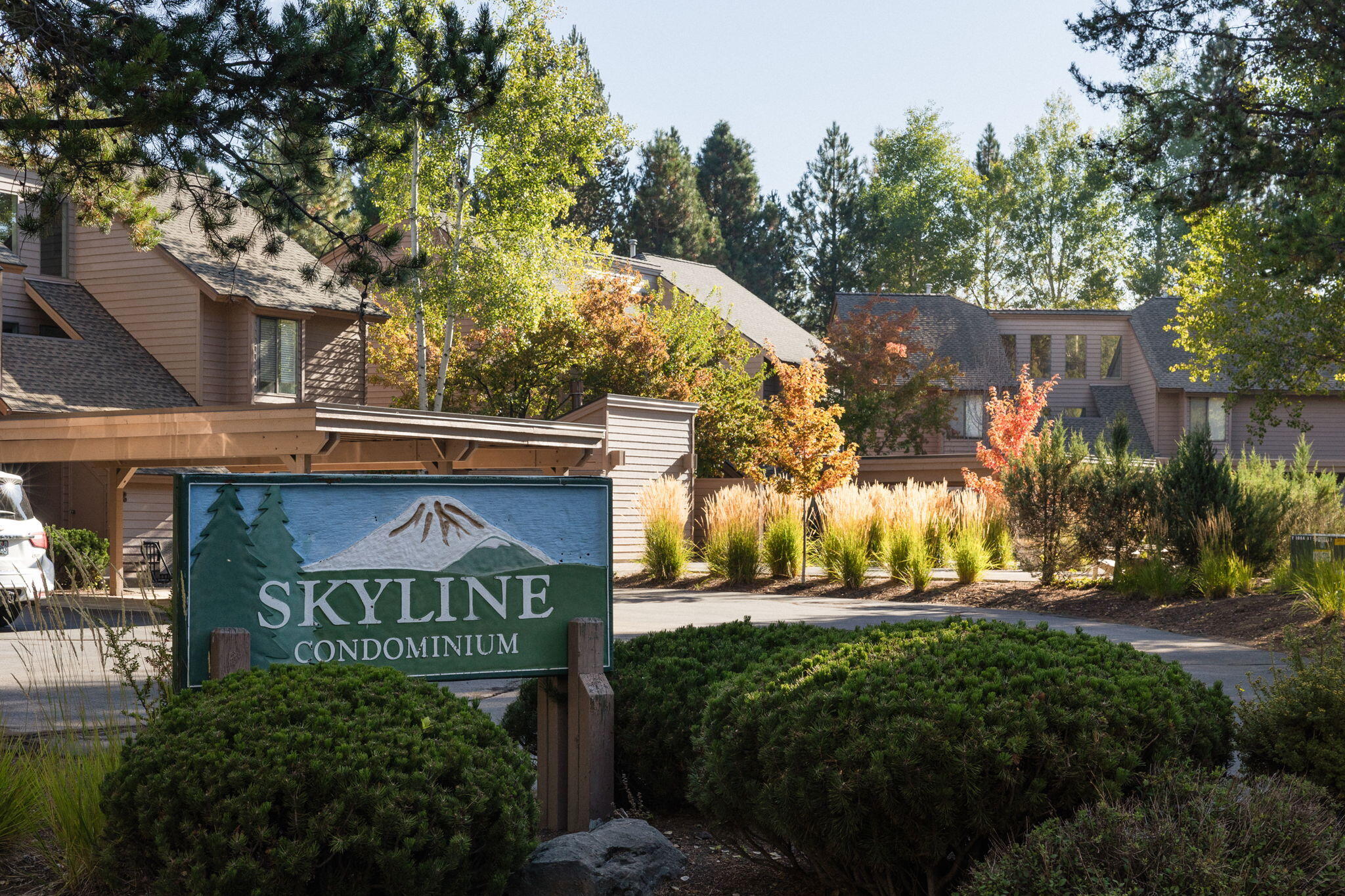 17712 Lake Aspen Court, 10