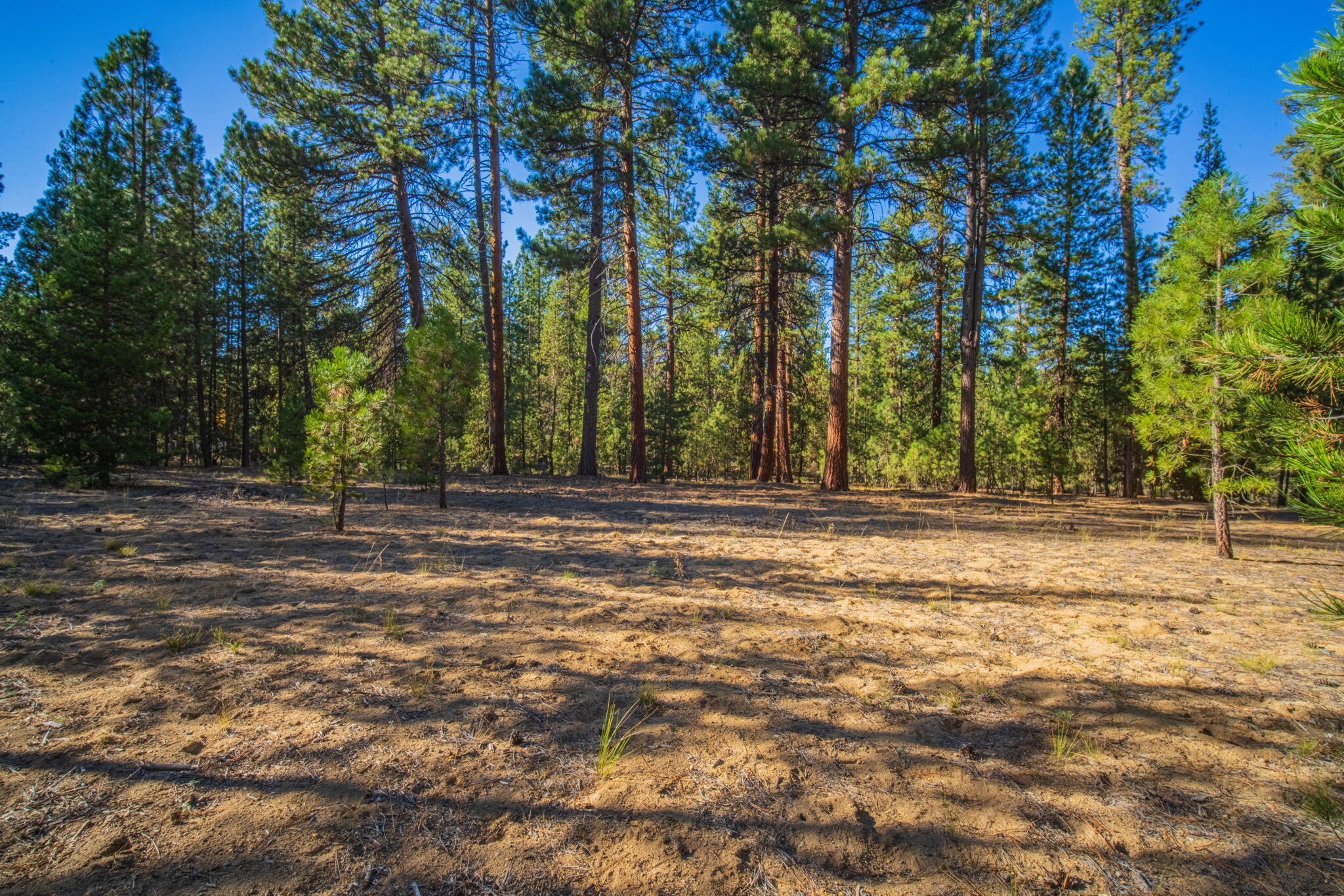 53582 22 Brookie Way