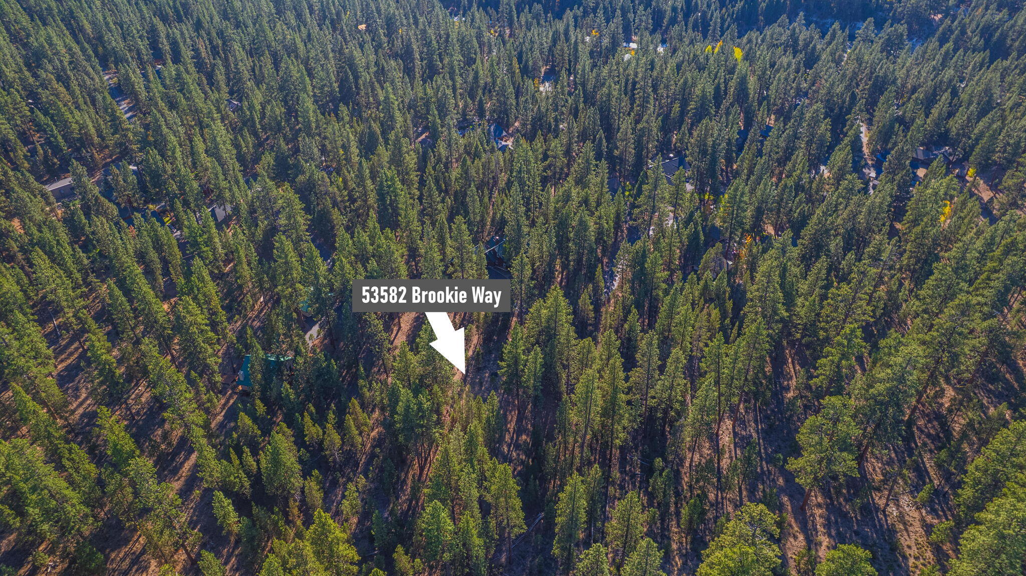53582 22 Brookie Way