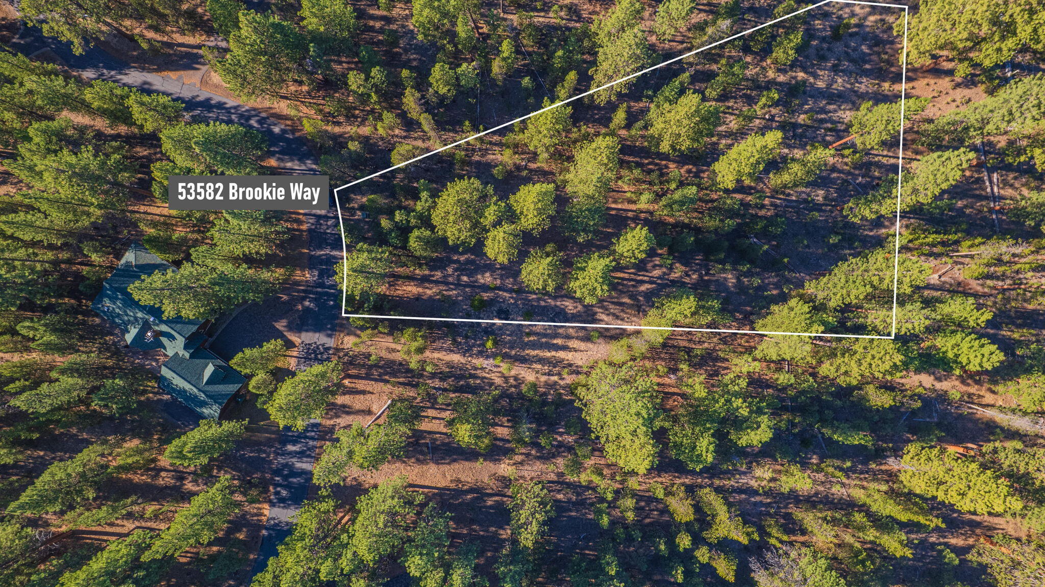 53582 22 Brookie Way